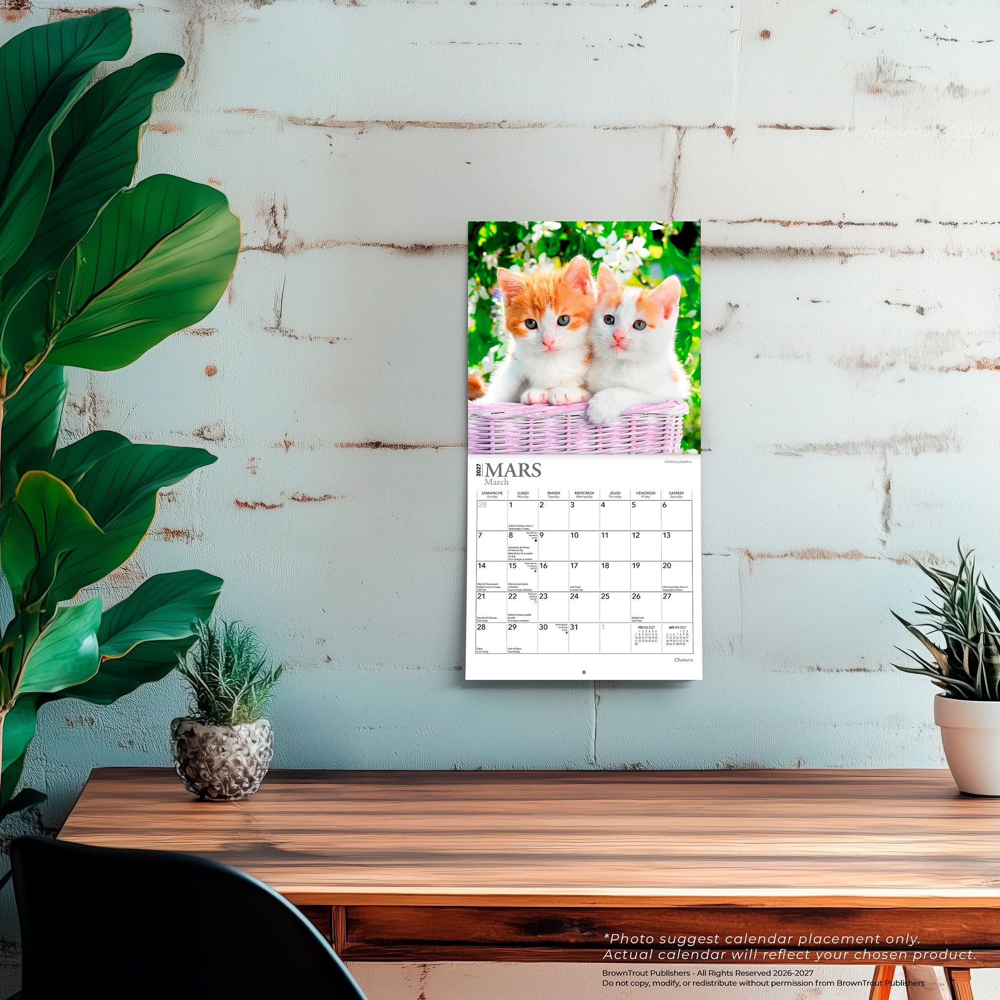 Chatons 2027 Mini Calendar (French)