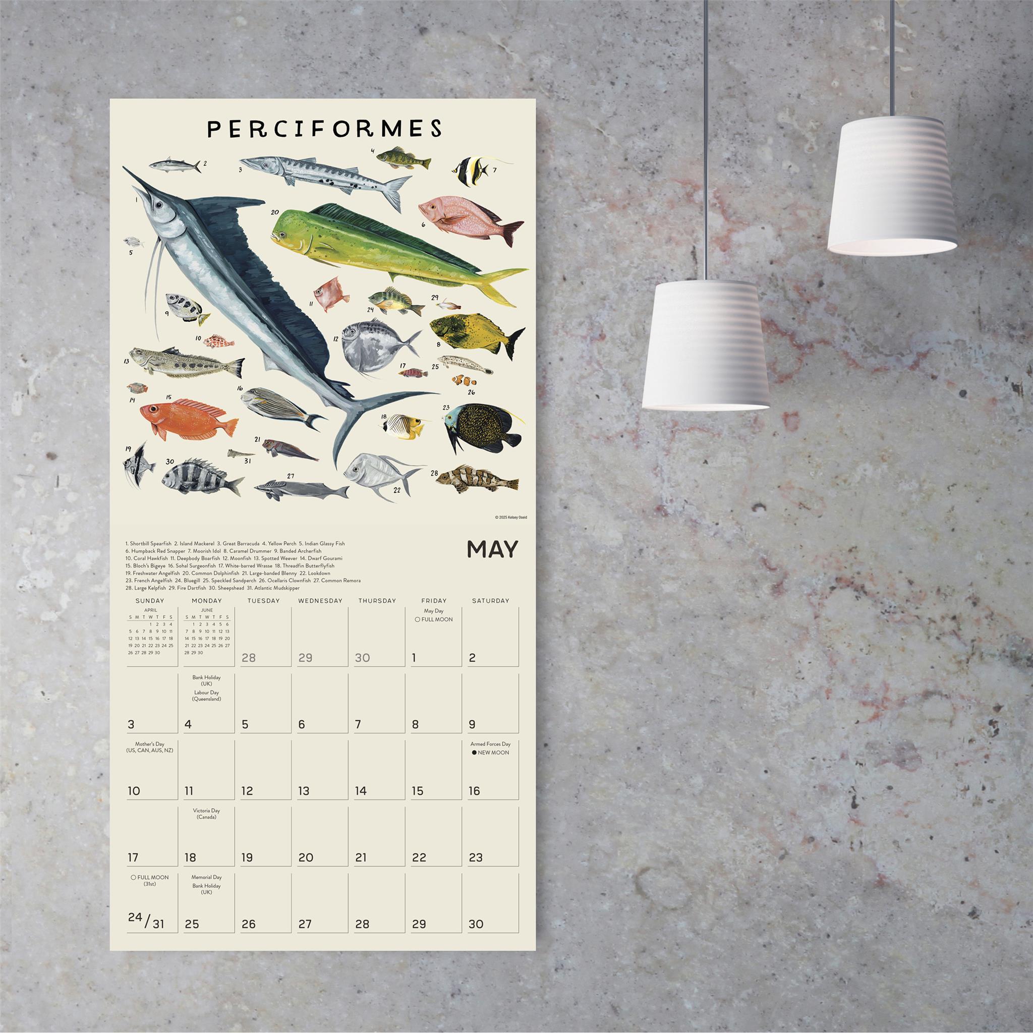 Illustrated Animal Kingdom 2026 Wall Calendar - Online Only