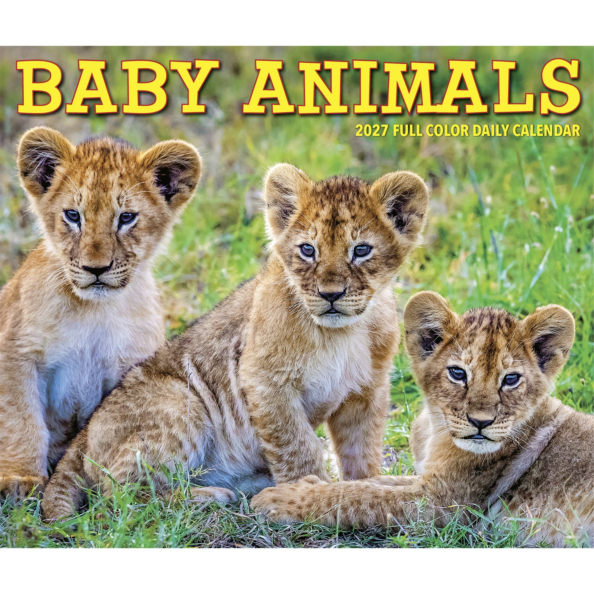 Baby Animals 2027 Box Calendar - Online Only