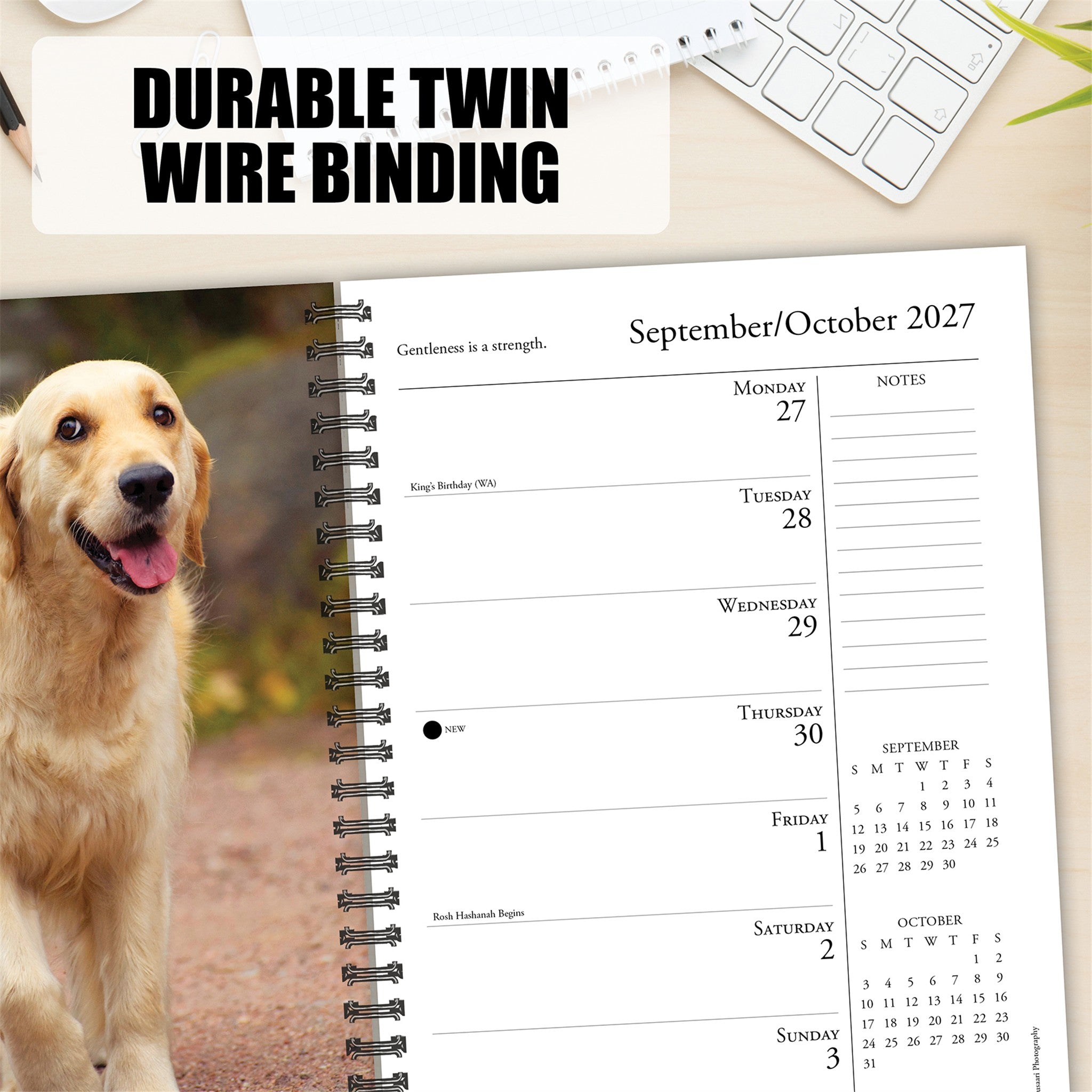 What Goldens Teach Us 2027 Engagement Calendar