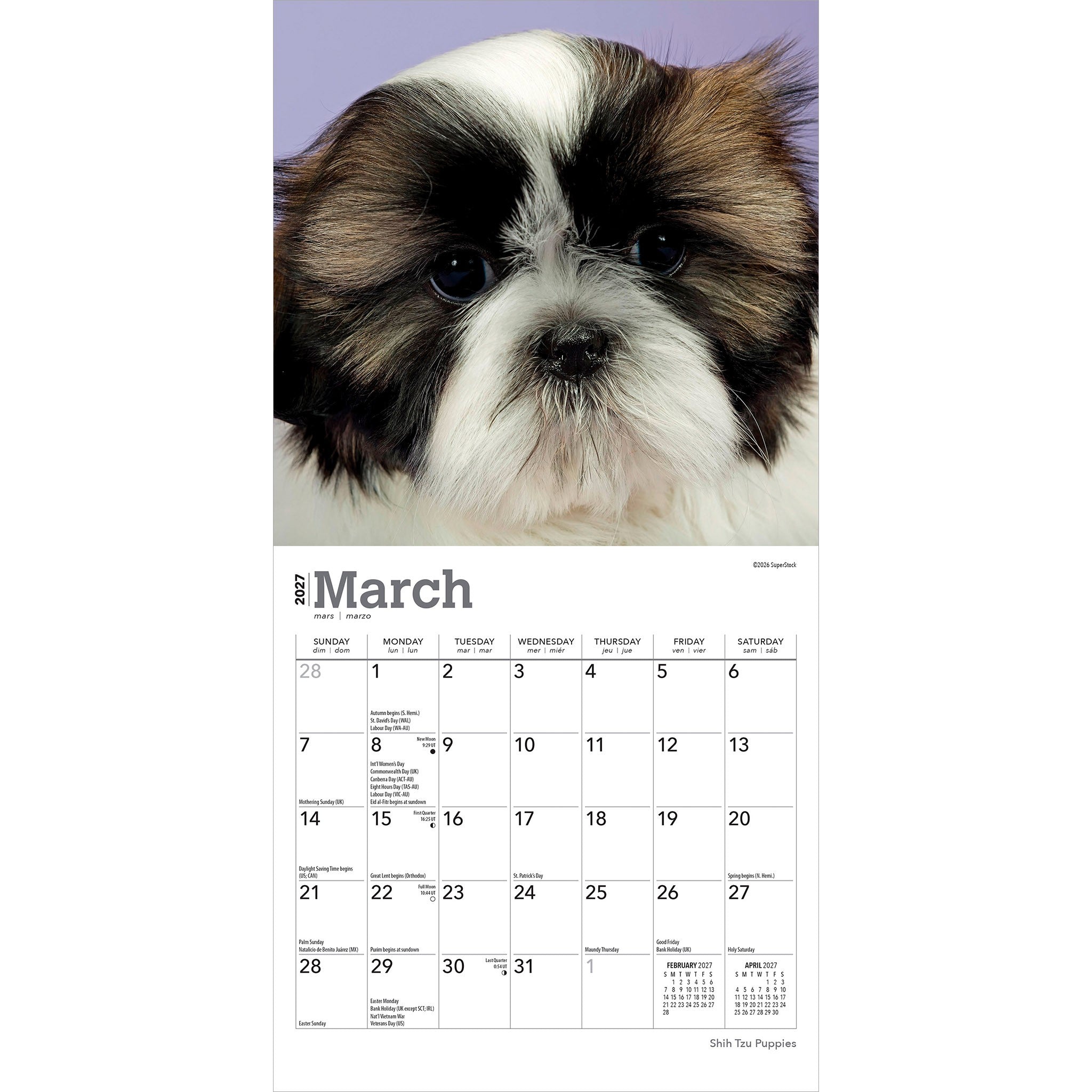 Shih Tzu Puppies 2027 Mini Calendar