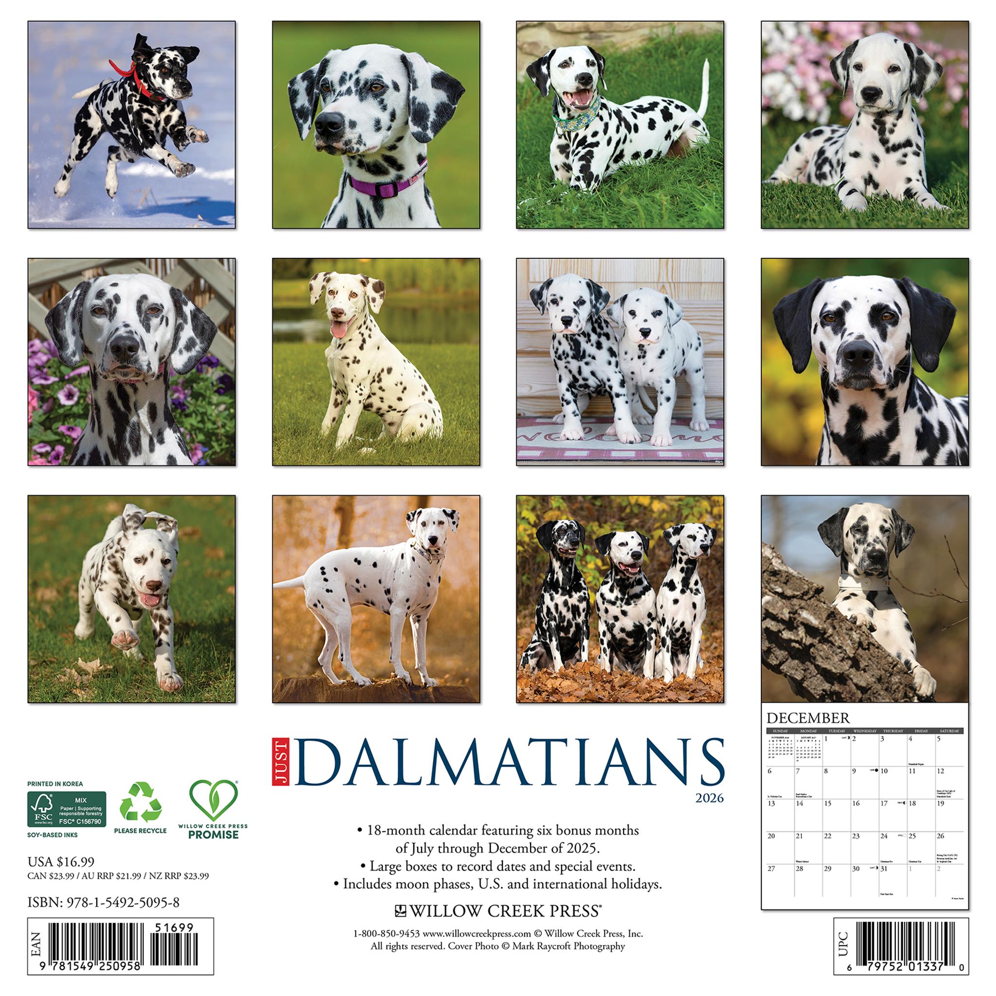 Calendrier mural Just Dalmatians 2026