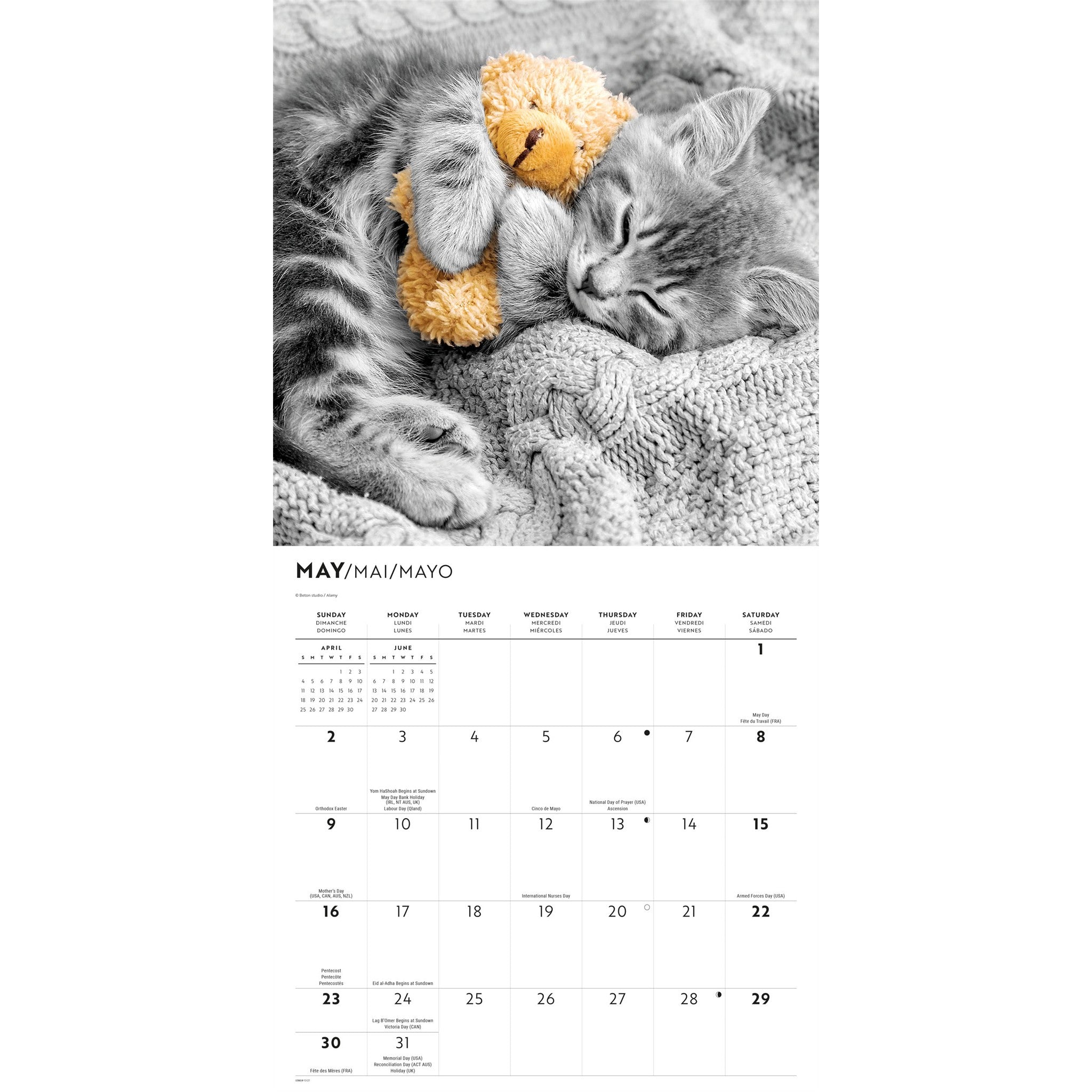 Calendrier mural 2027 Chats