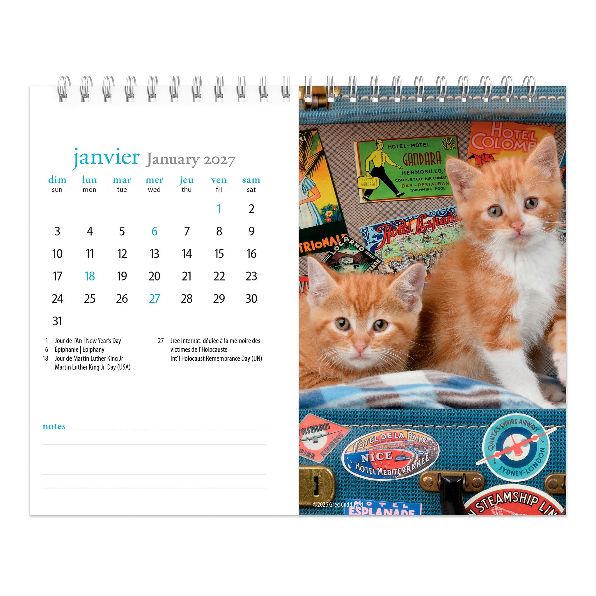 Chatons Double-View 2027 Easel Calendar (French)