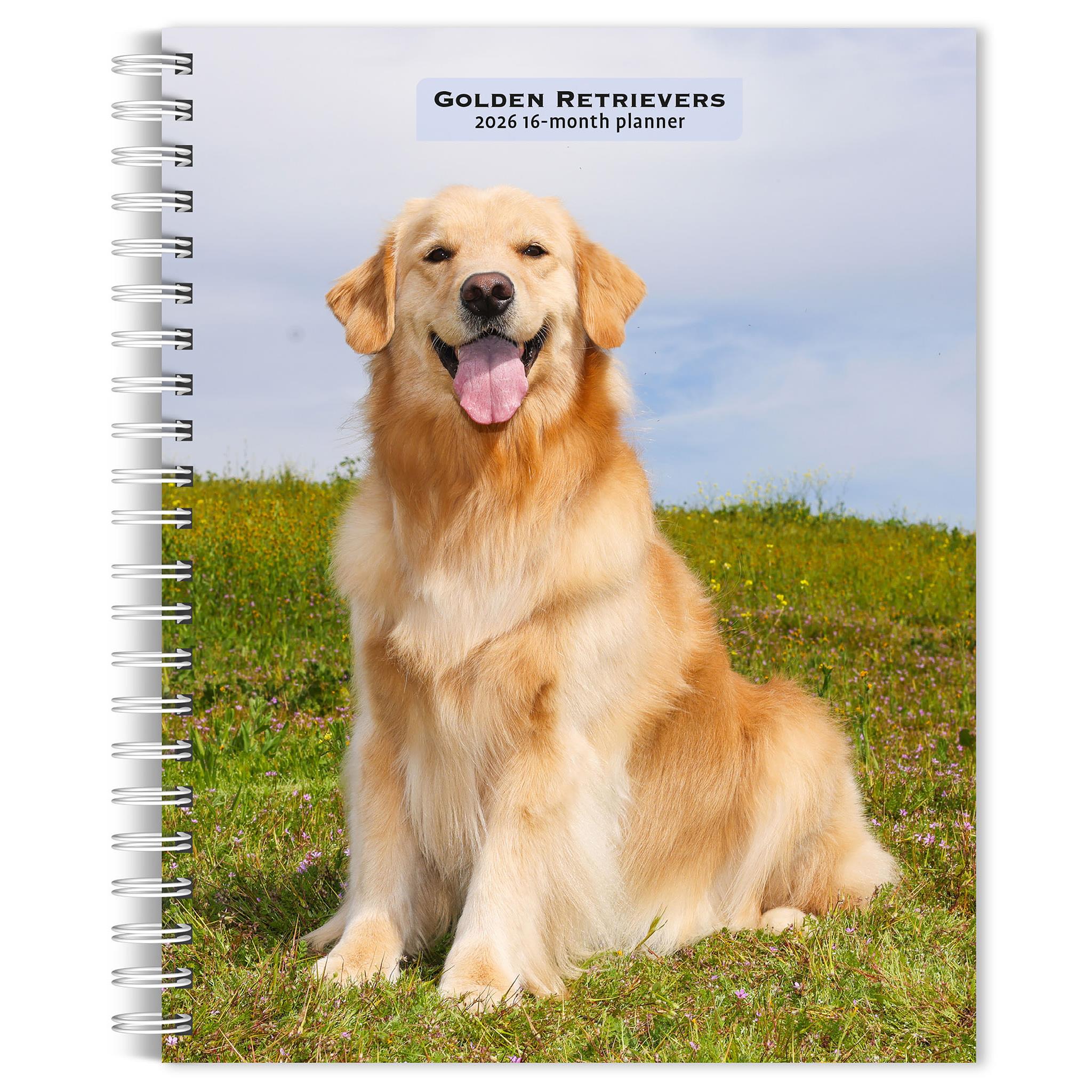 Calendrier des fiançailles Golden Retrievers 2026 - Disponible uniquement en ligne