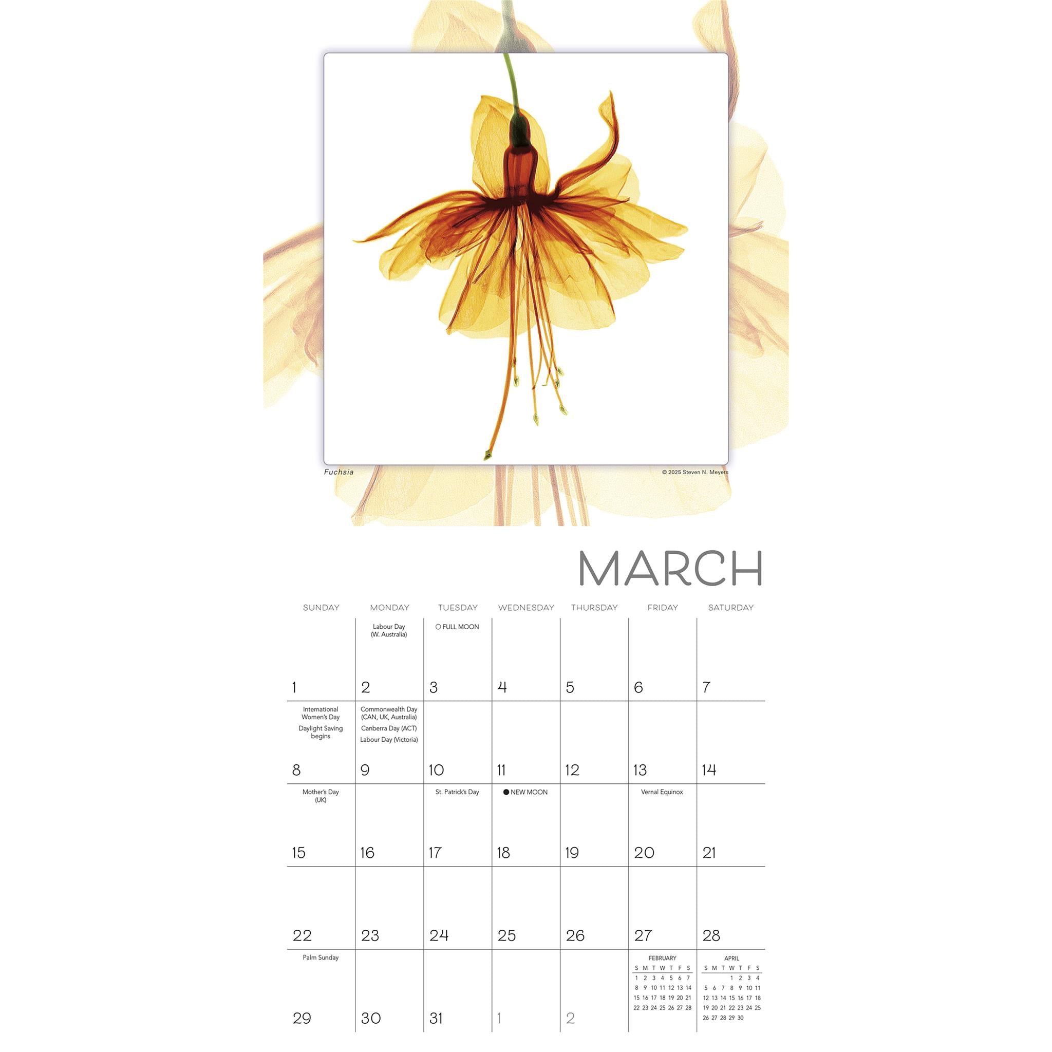 Flower Spirits 2026 Mini Calendar