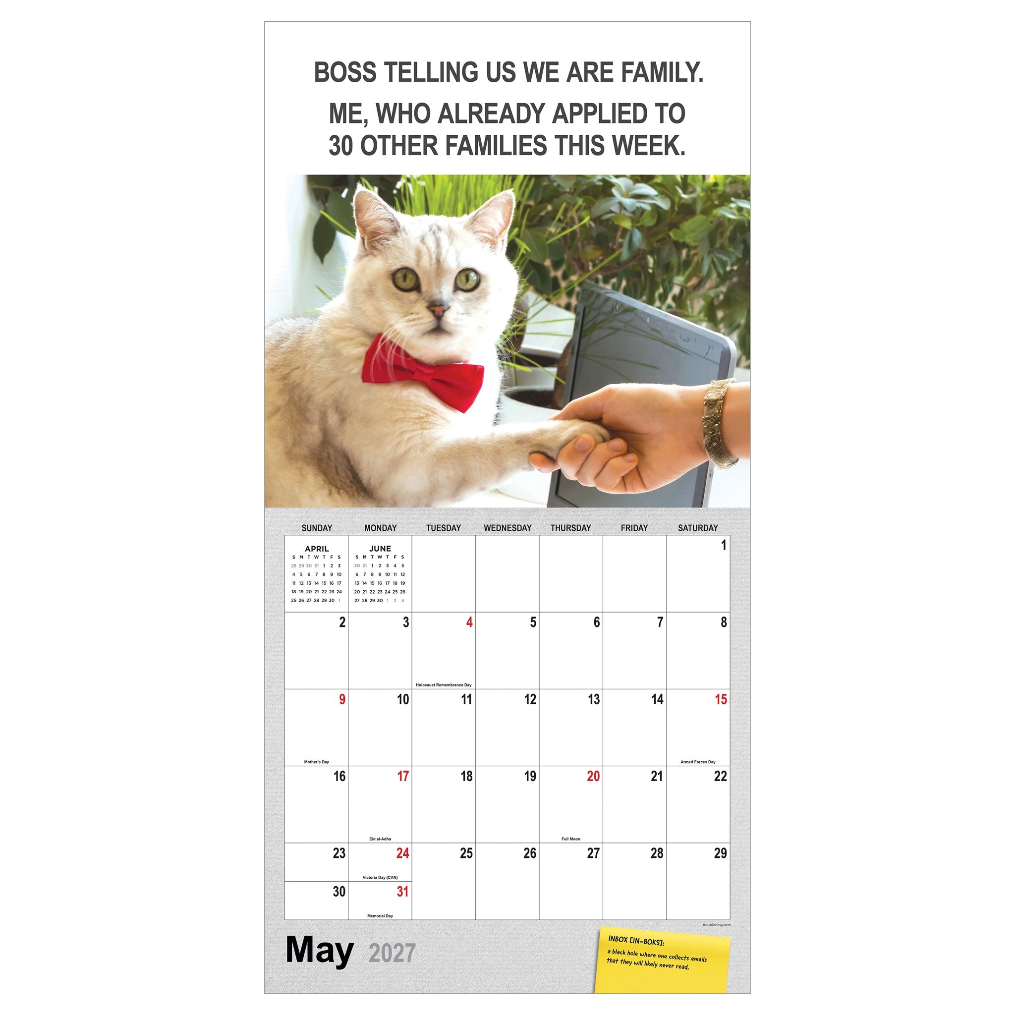 Corporate Cats 2027 Wall Calendar