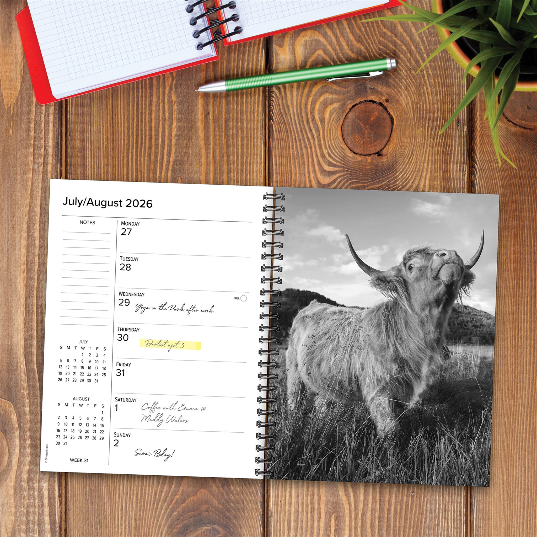 Highland Cows 2026 Engagement Calendar
