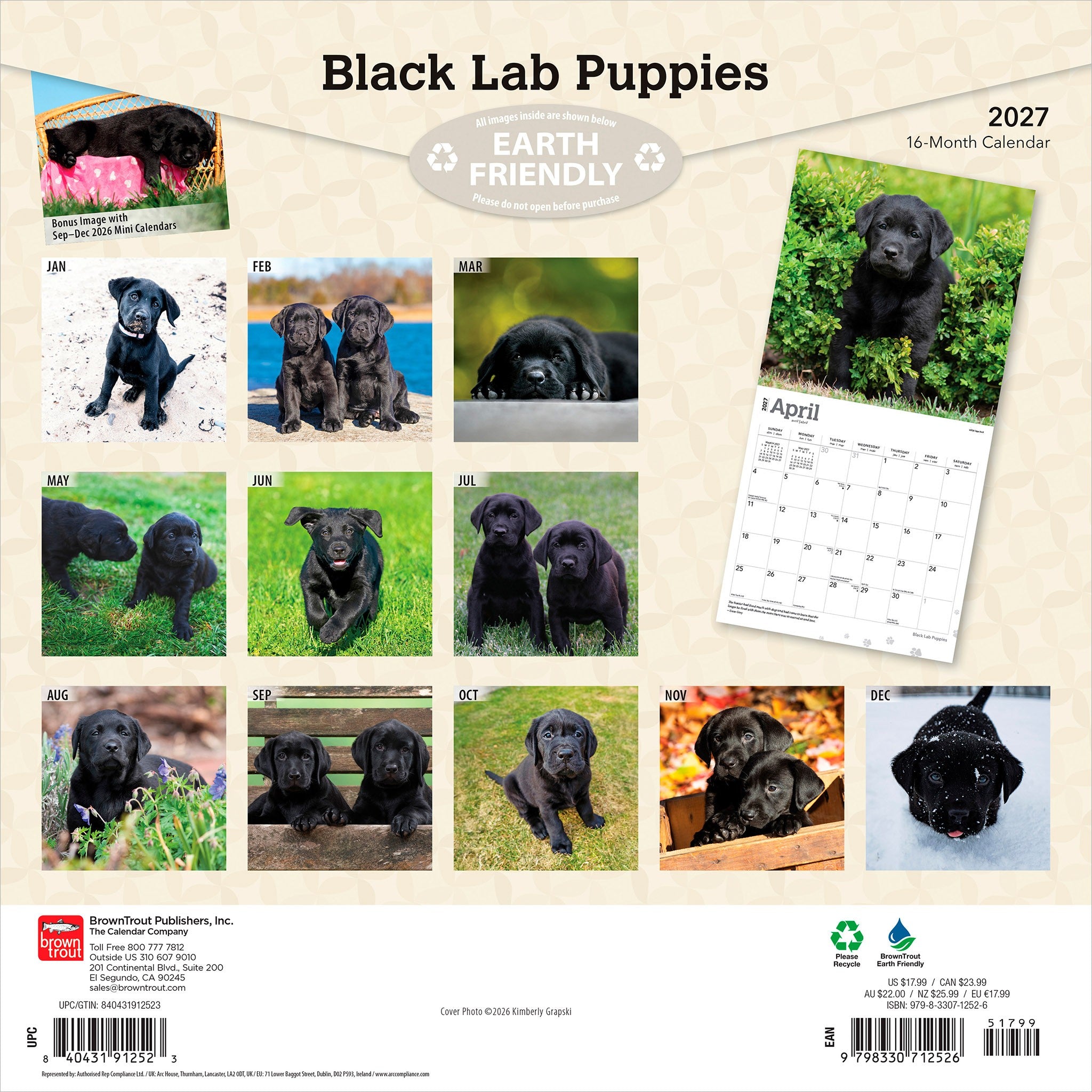 Black Lab Puppies 2027 Wall Calendar