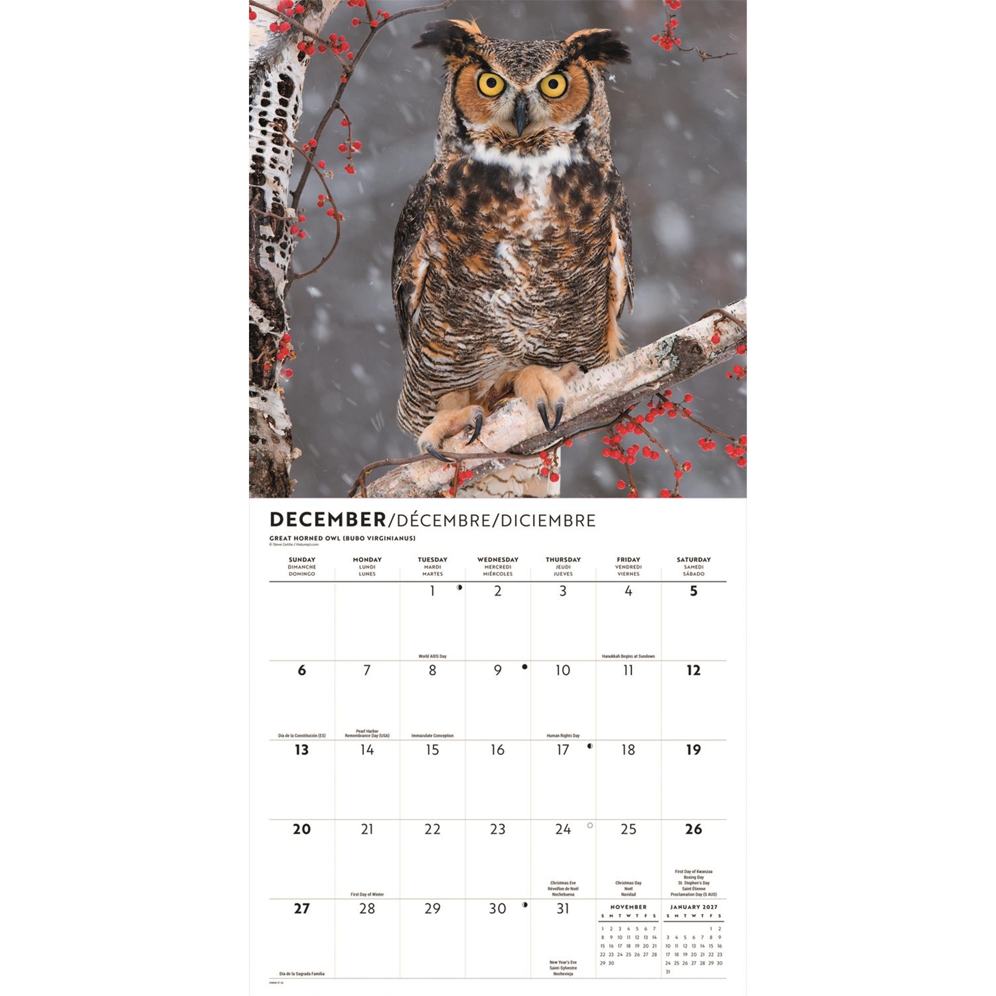 Calendrier mural Hiboux 2026