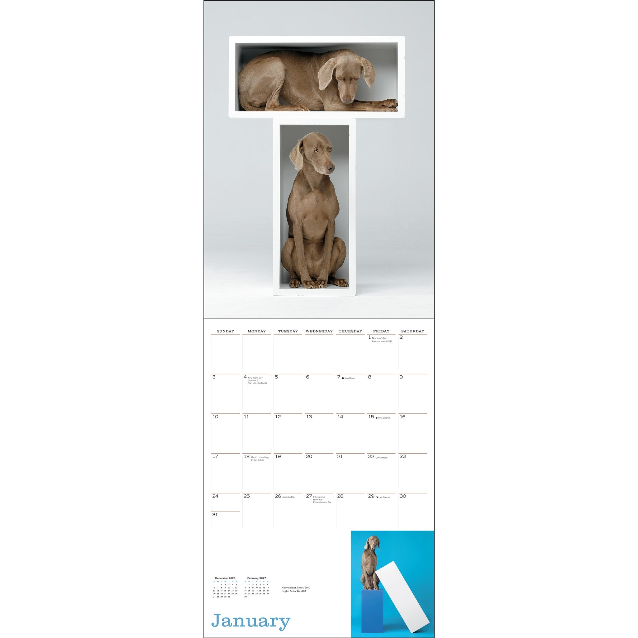 William Wegman Favorite Models 2027 Wall Calendar