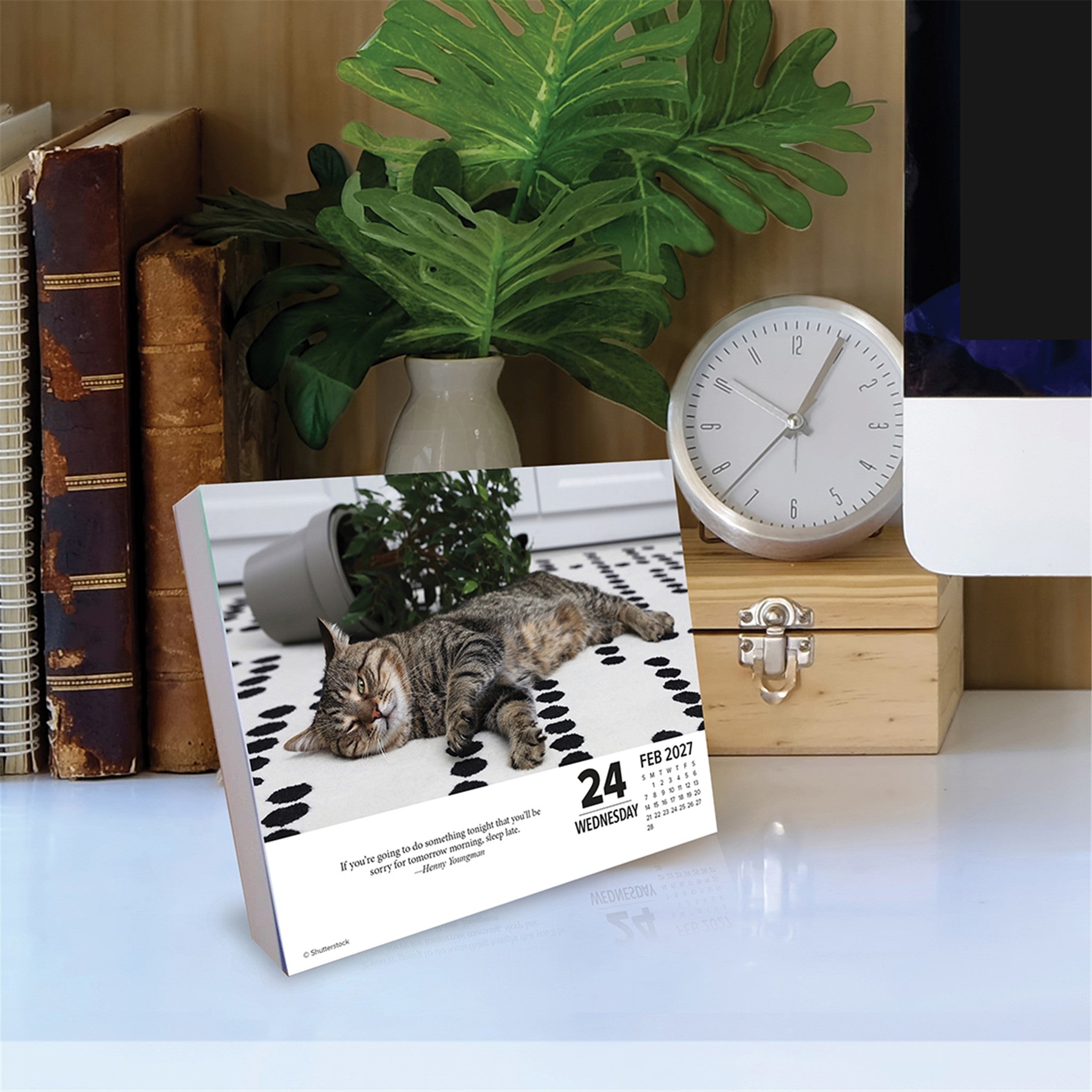 Bad Kitties 2027 Box Calendar - Online Only