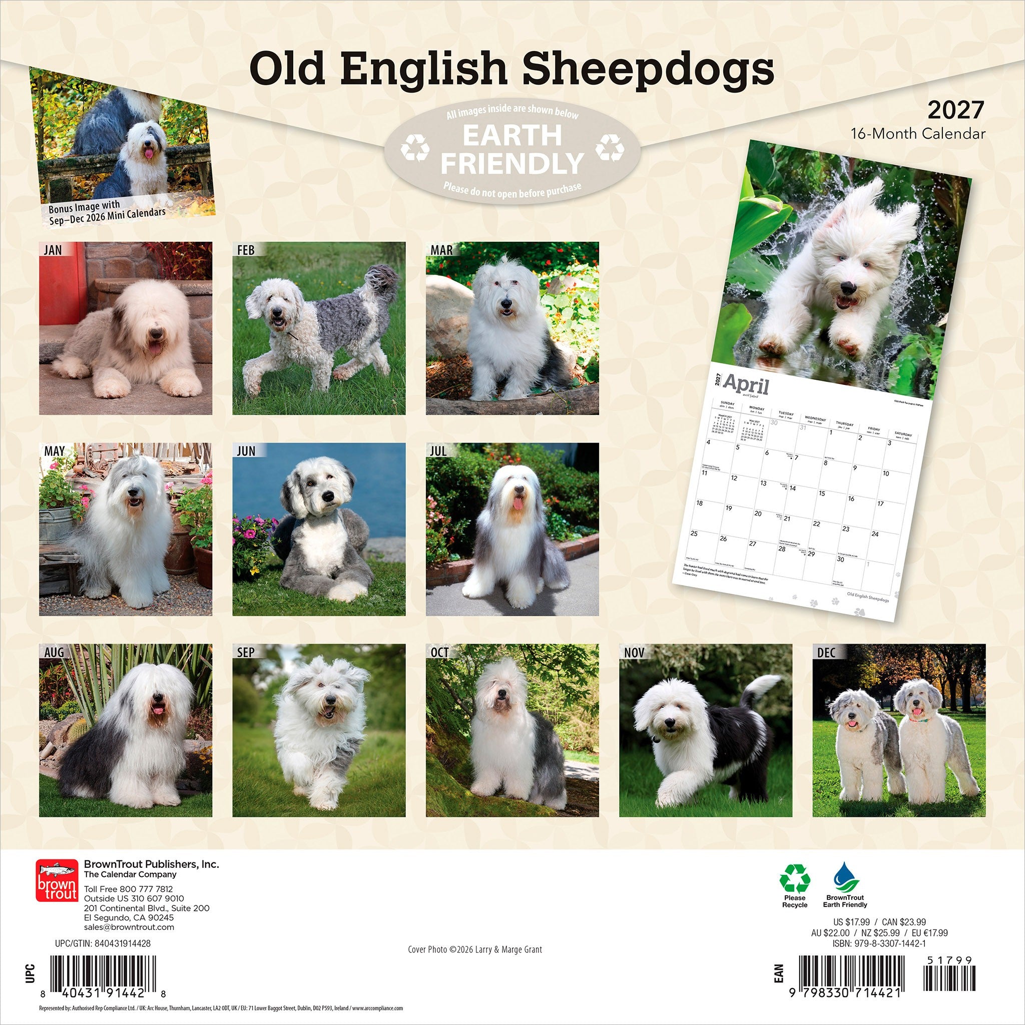 Old English Sheepdogs 2027 Wall Calendar