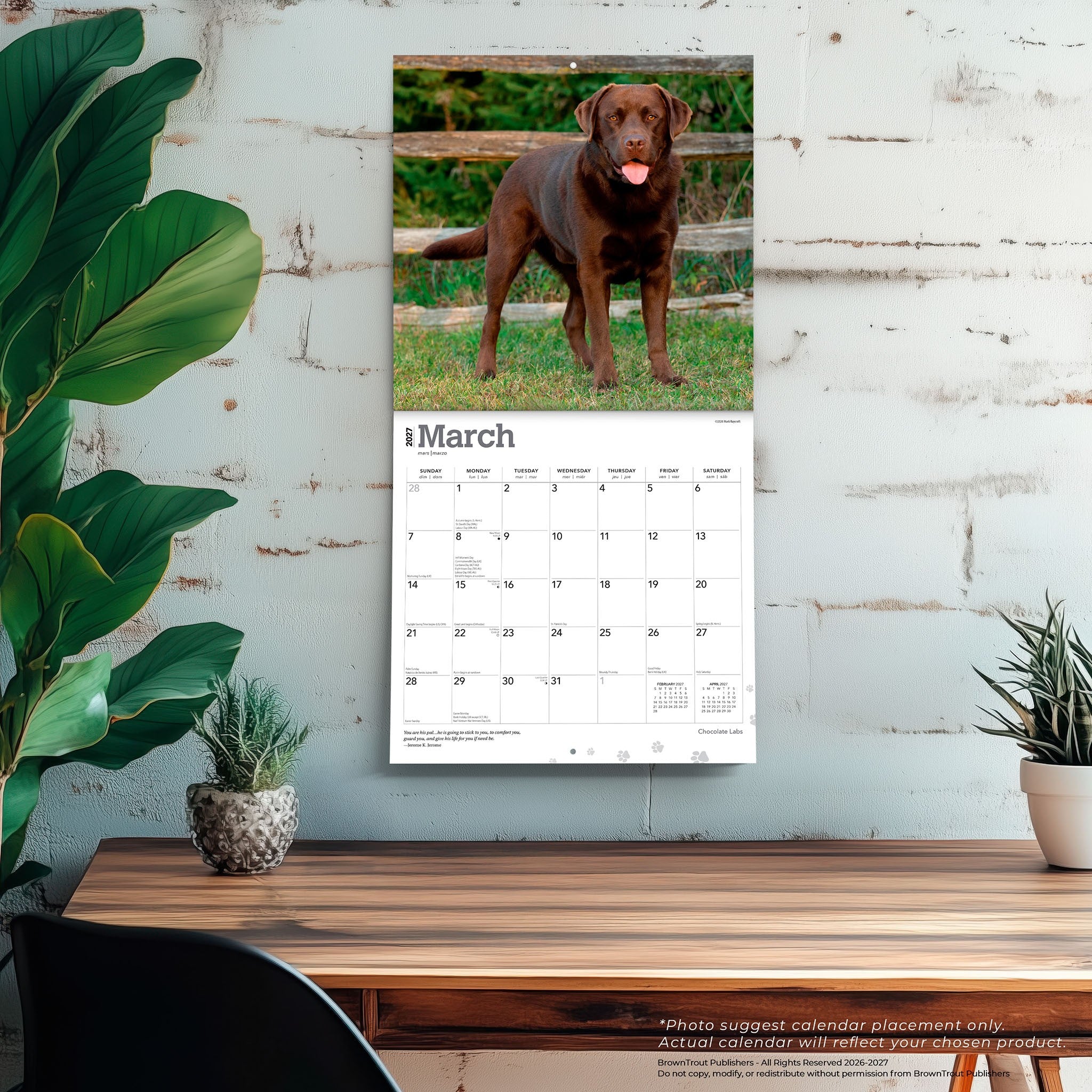 Chocolate Labs 2027 Wall Calendar