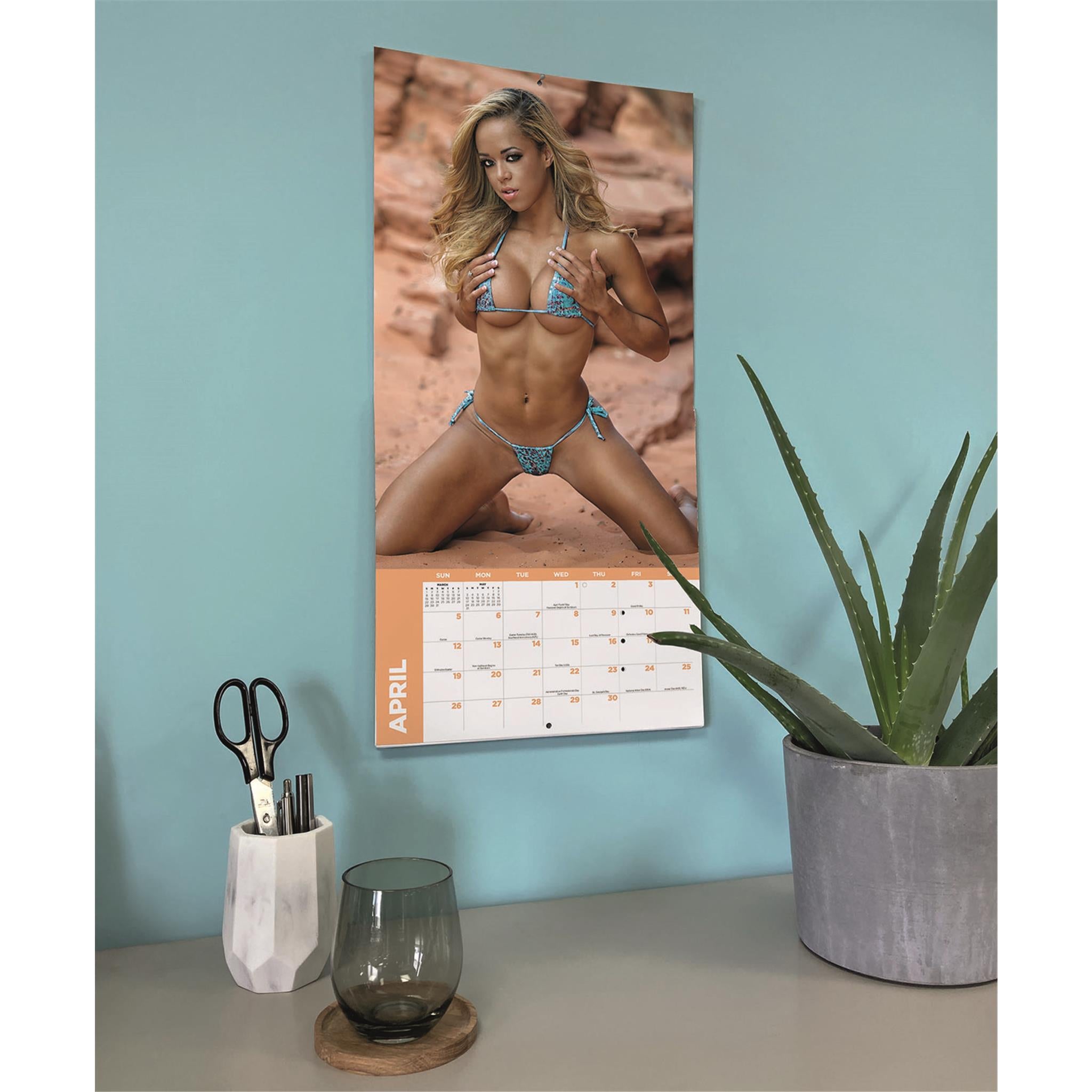 Calendrier mural Babes 2026