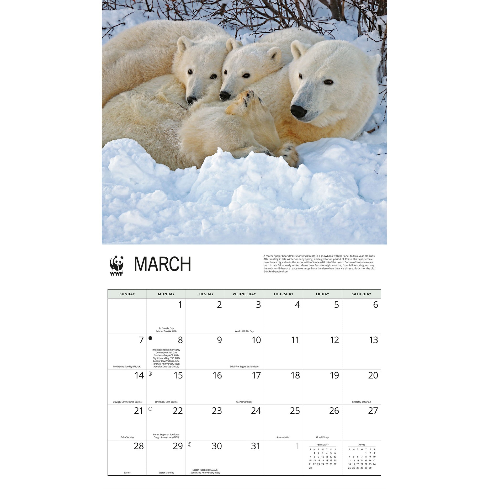 Calendrier mural Ours polaires 2027 du Fonds mondial pour la nature