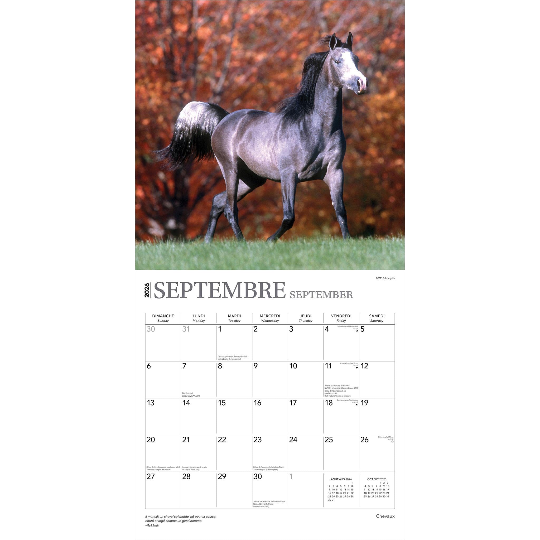 Calendrier mural Chevaux 2026 (français)