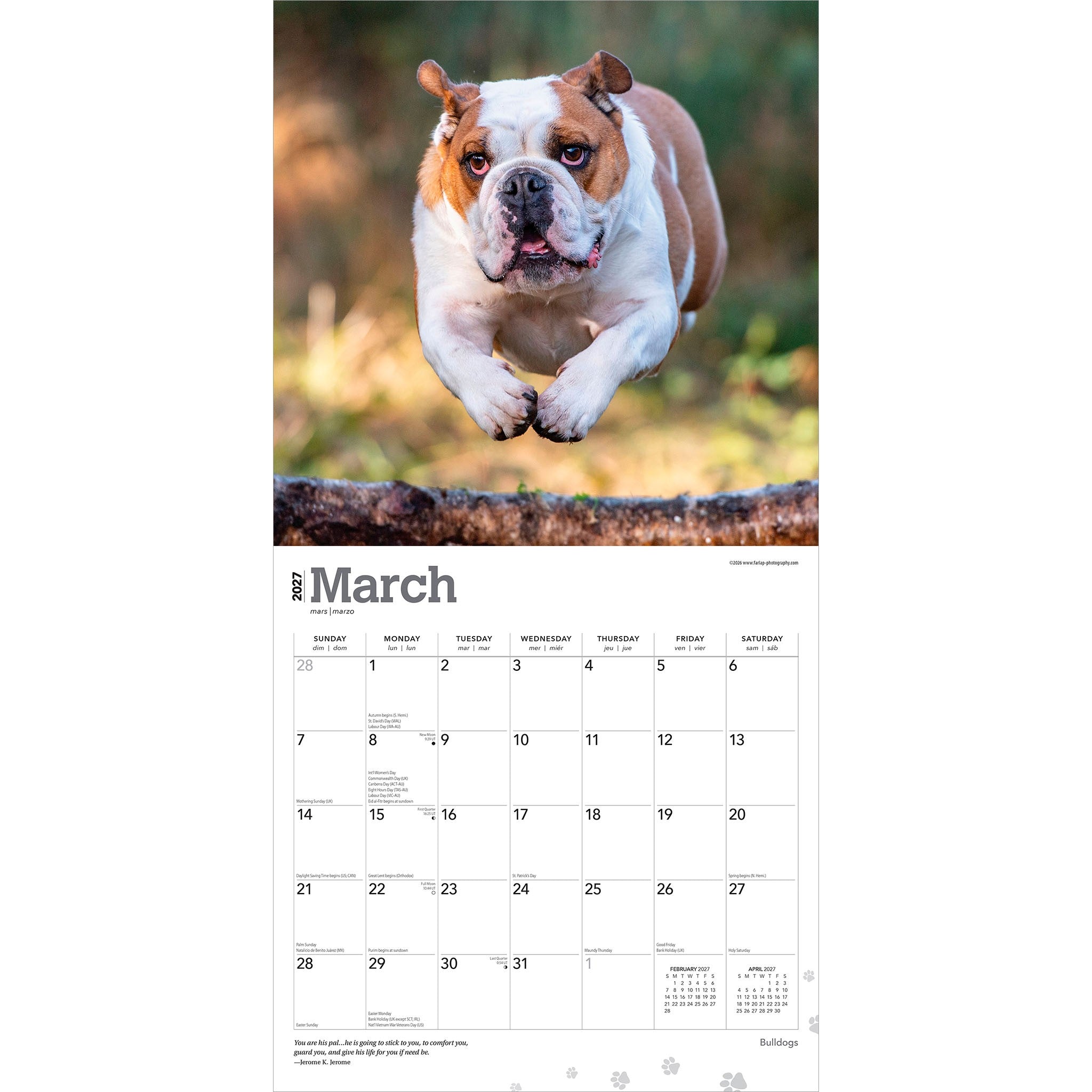 Bulldogs English 2027 Wall Calendar