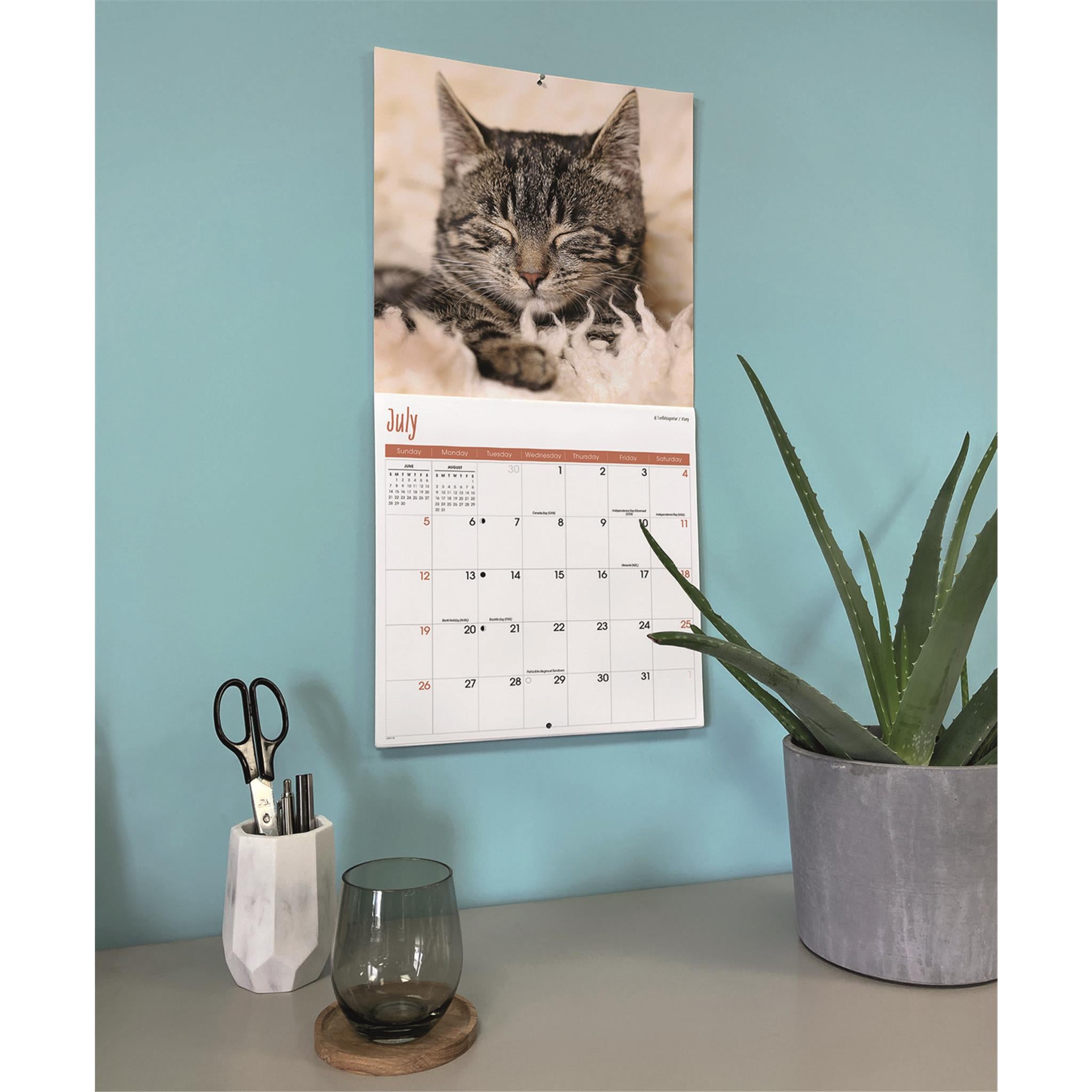 Cats Wall  2026 Calendar