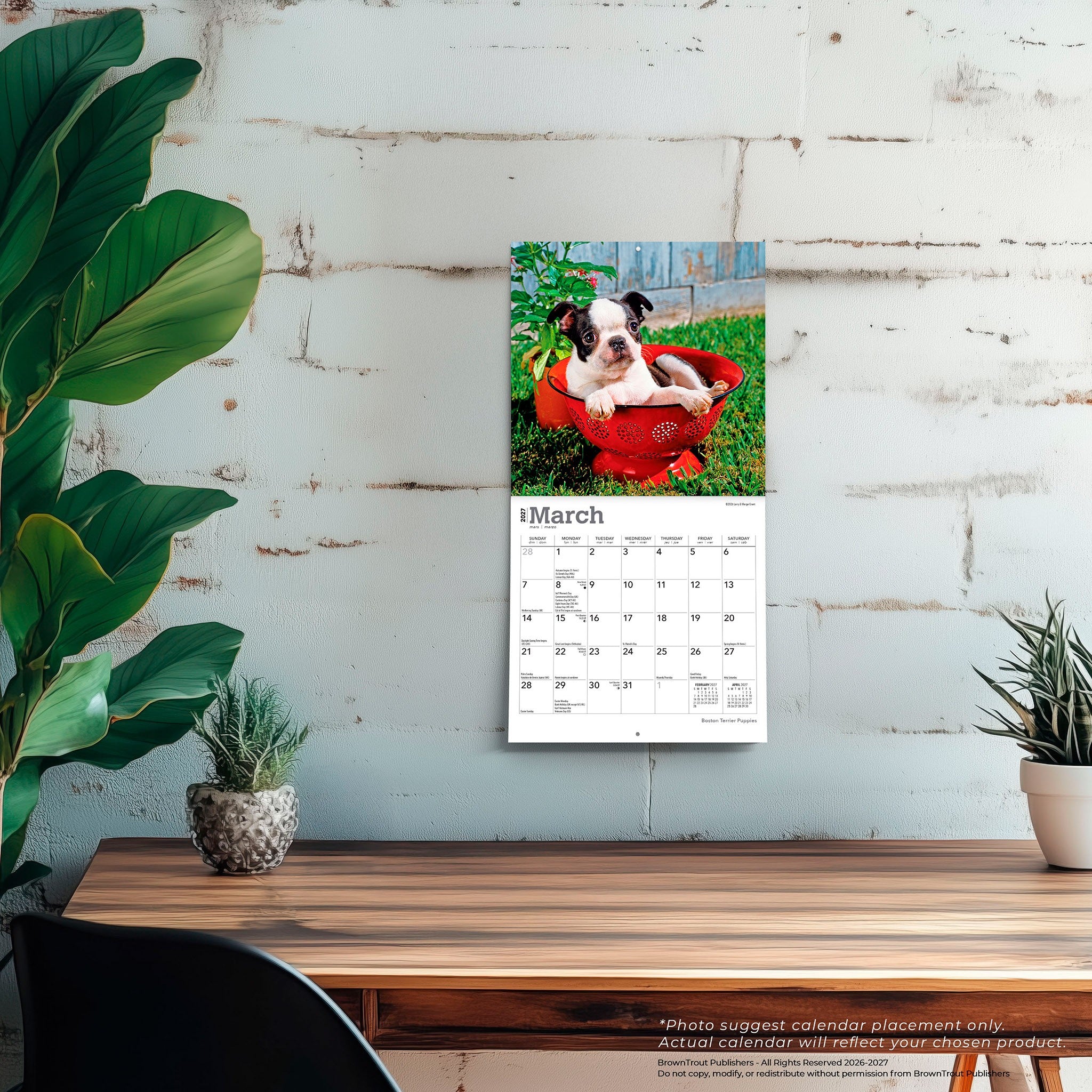 Boston Terrier Puppies 2027 Mini Calendar