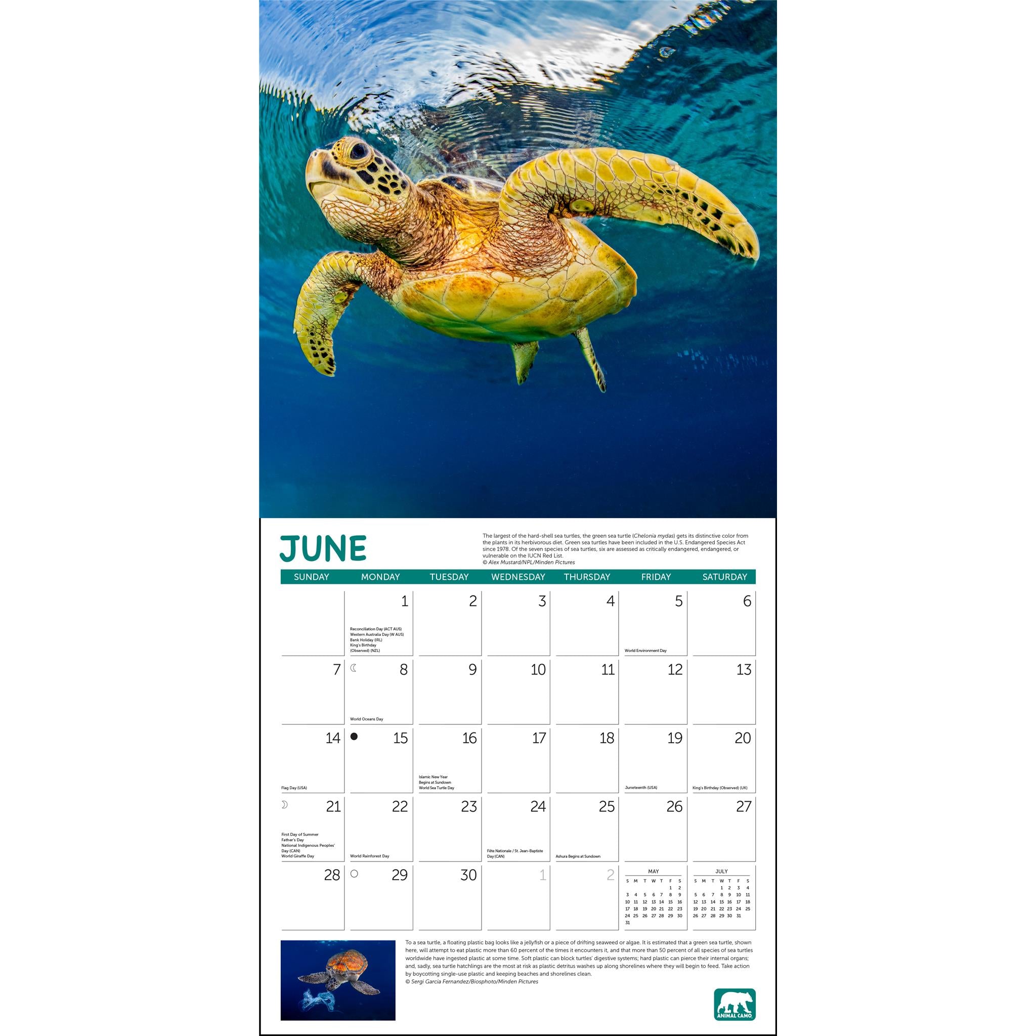 Calendrier mural Projet Vert 2026