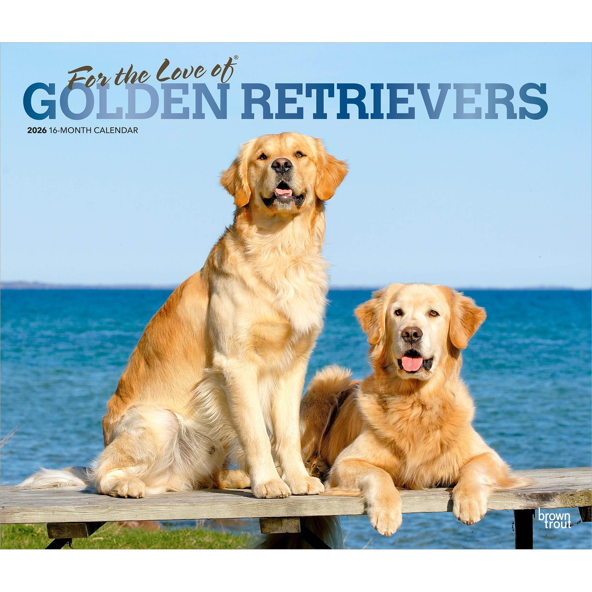 Calendrier mural 2026 « Pour l’amour des Golden Retrievers »