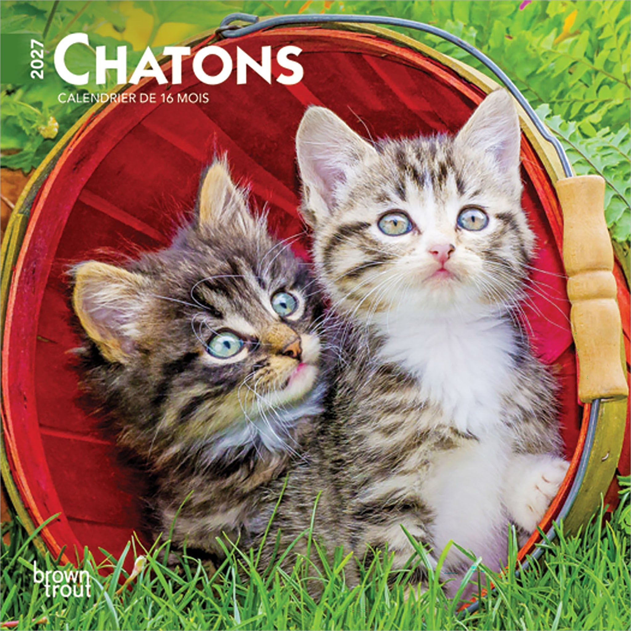 Chatons 2027 Mini Calendar (French)