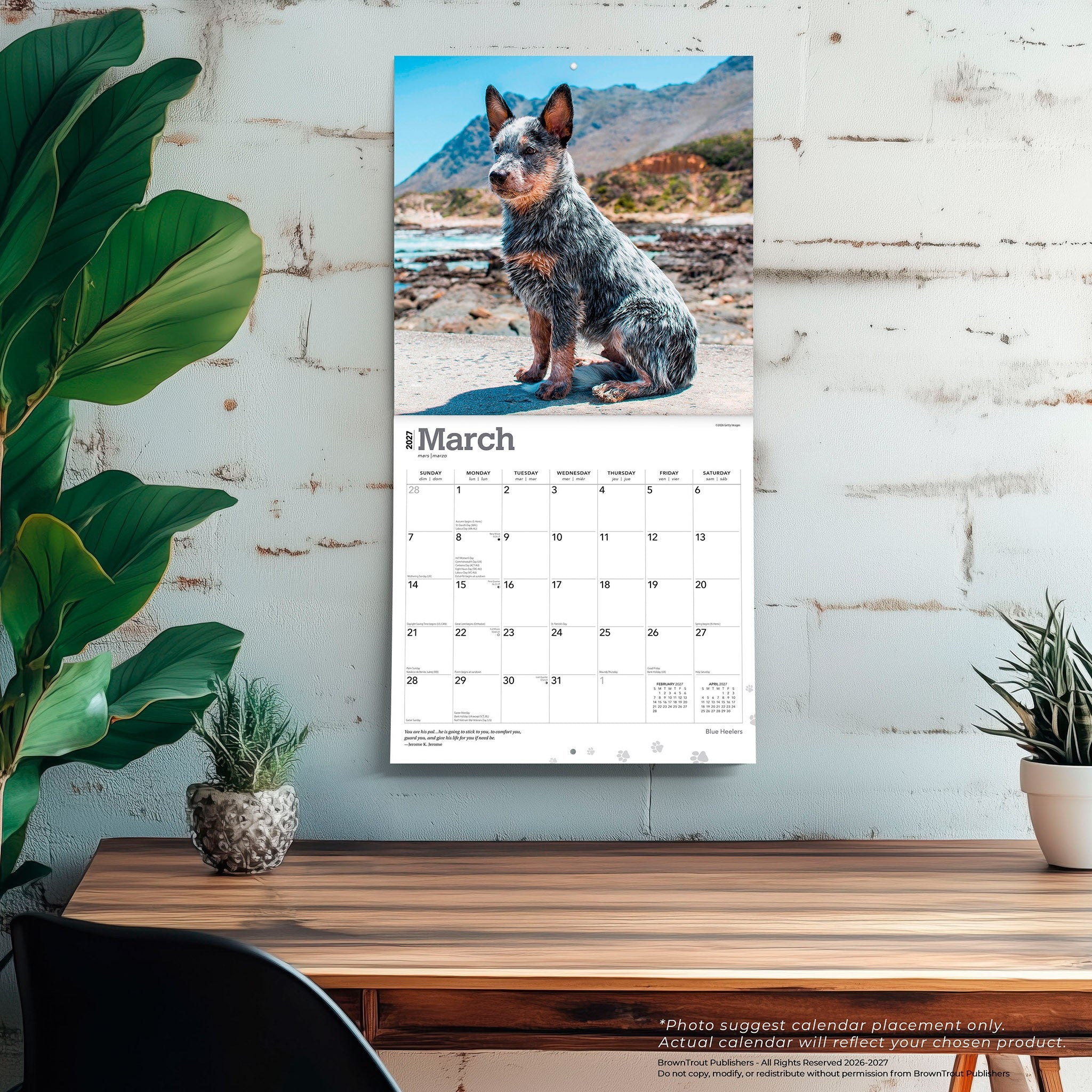 Blue Heelers 2027 Wall Calendar