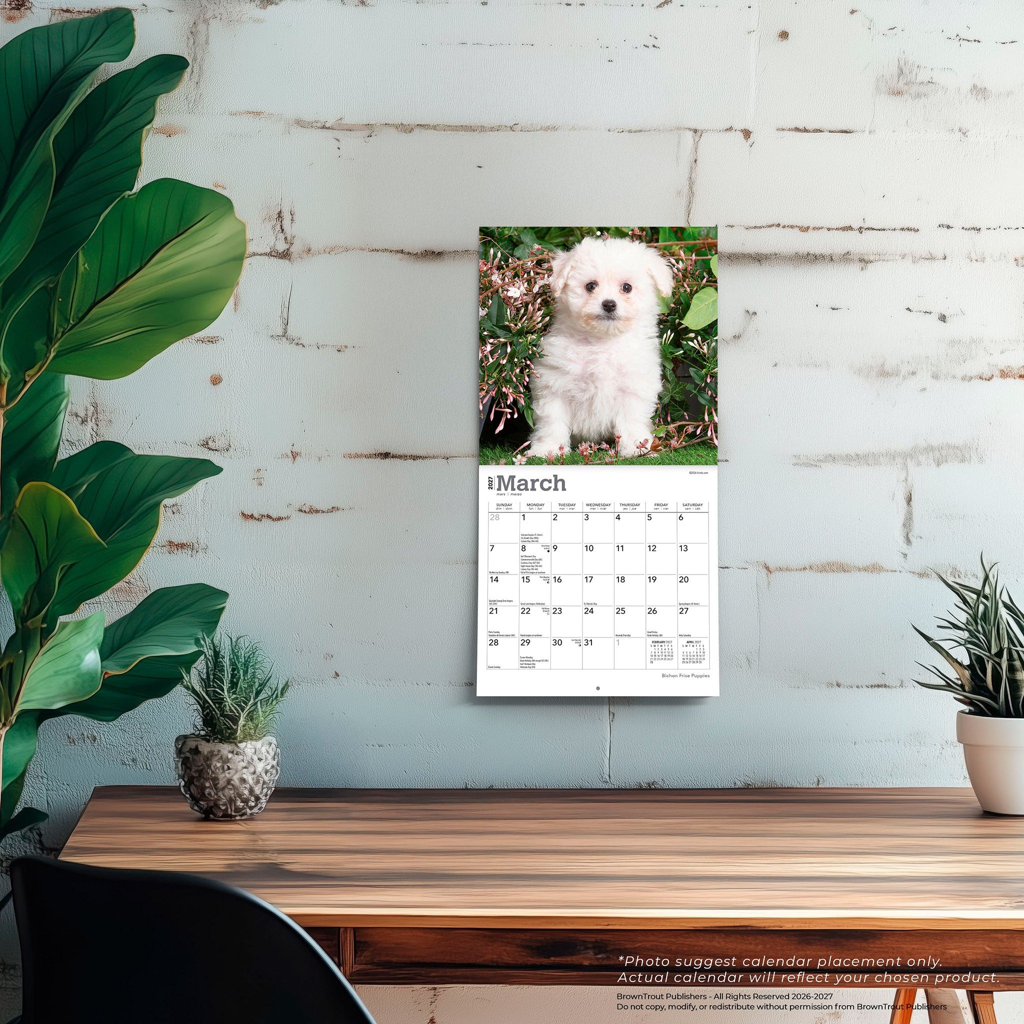 Bichon Frise Puppies 2027 Mini Calendar