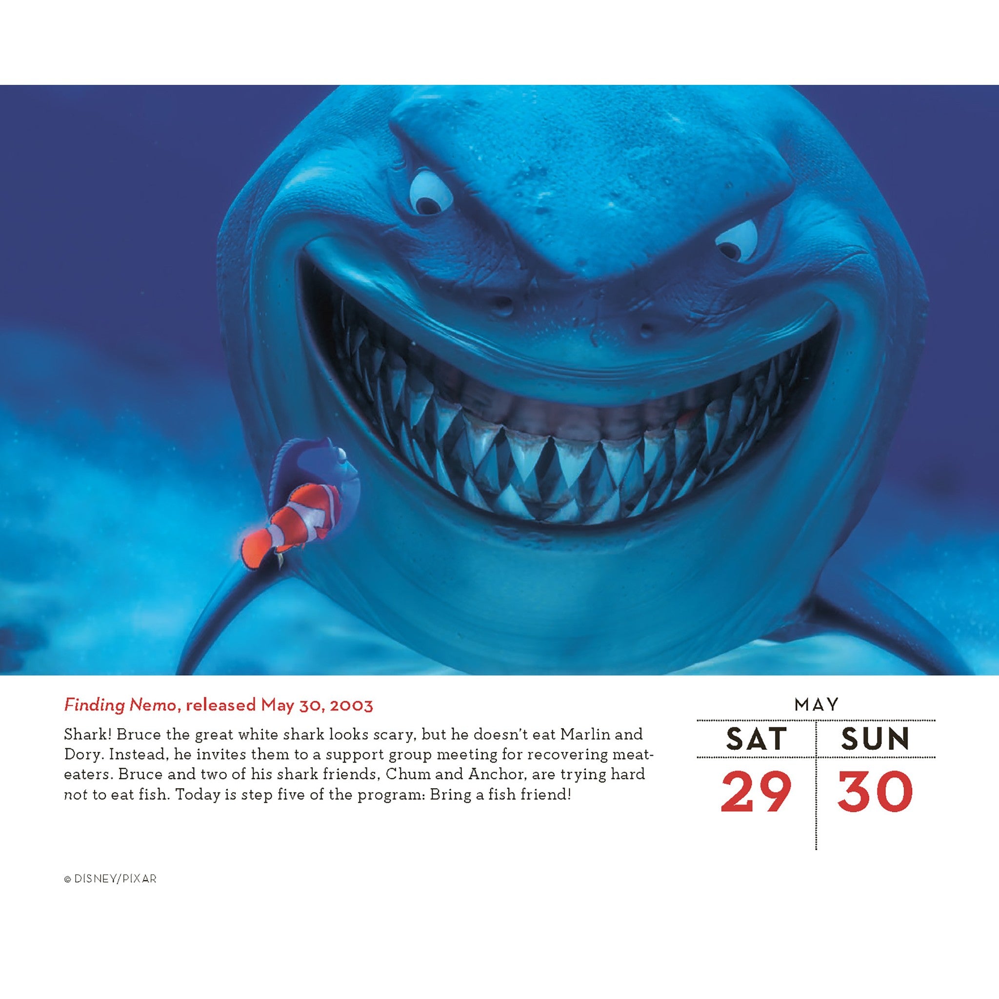 Disney A Year of Animation 2027 Box Calendar