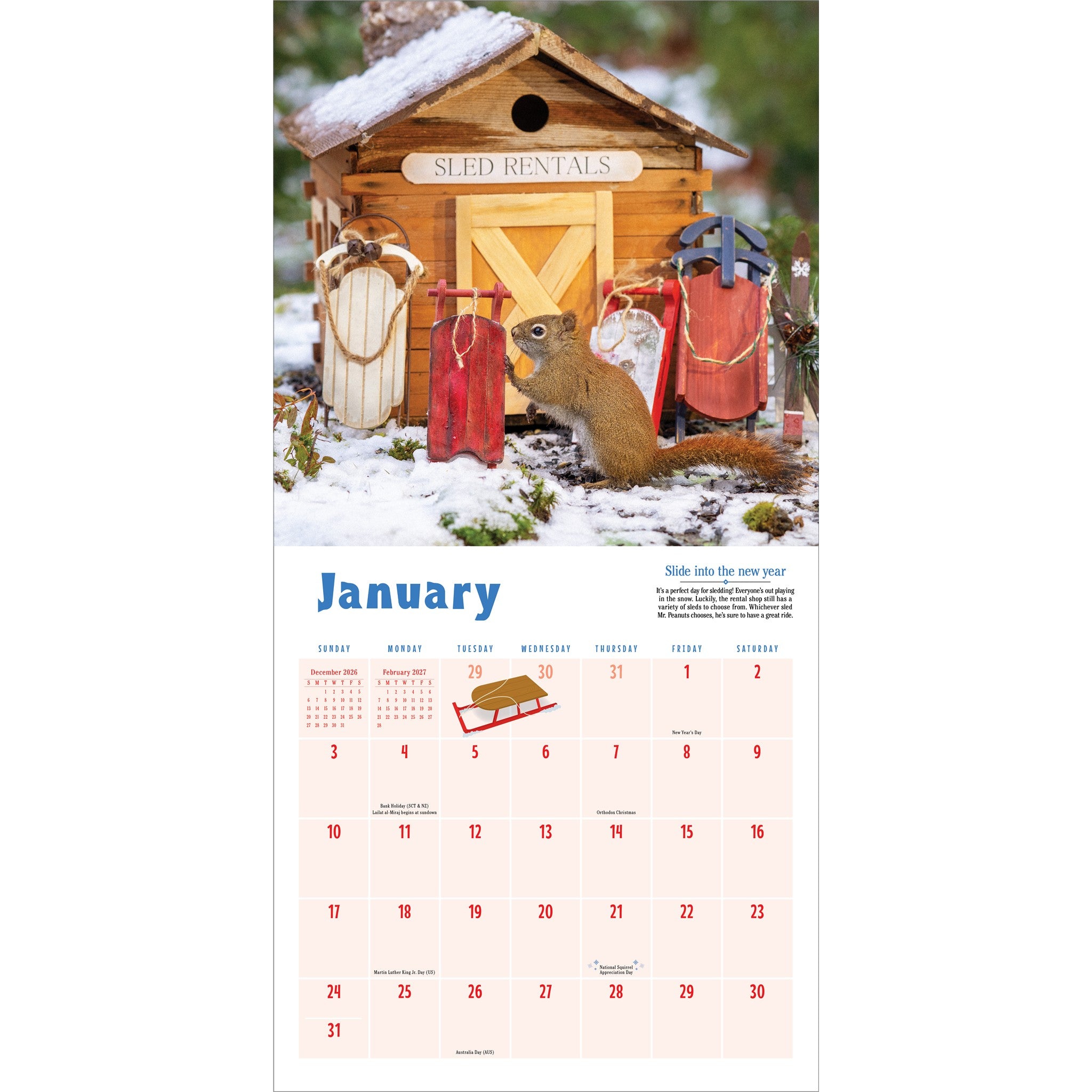 Secret Life of Squirrels 2027 Wall Calendar