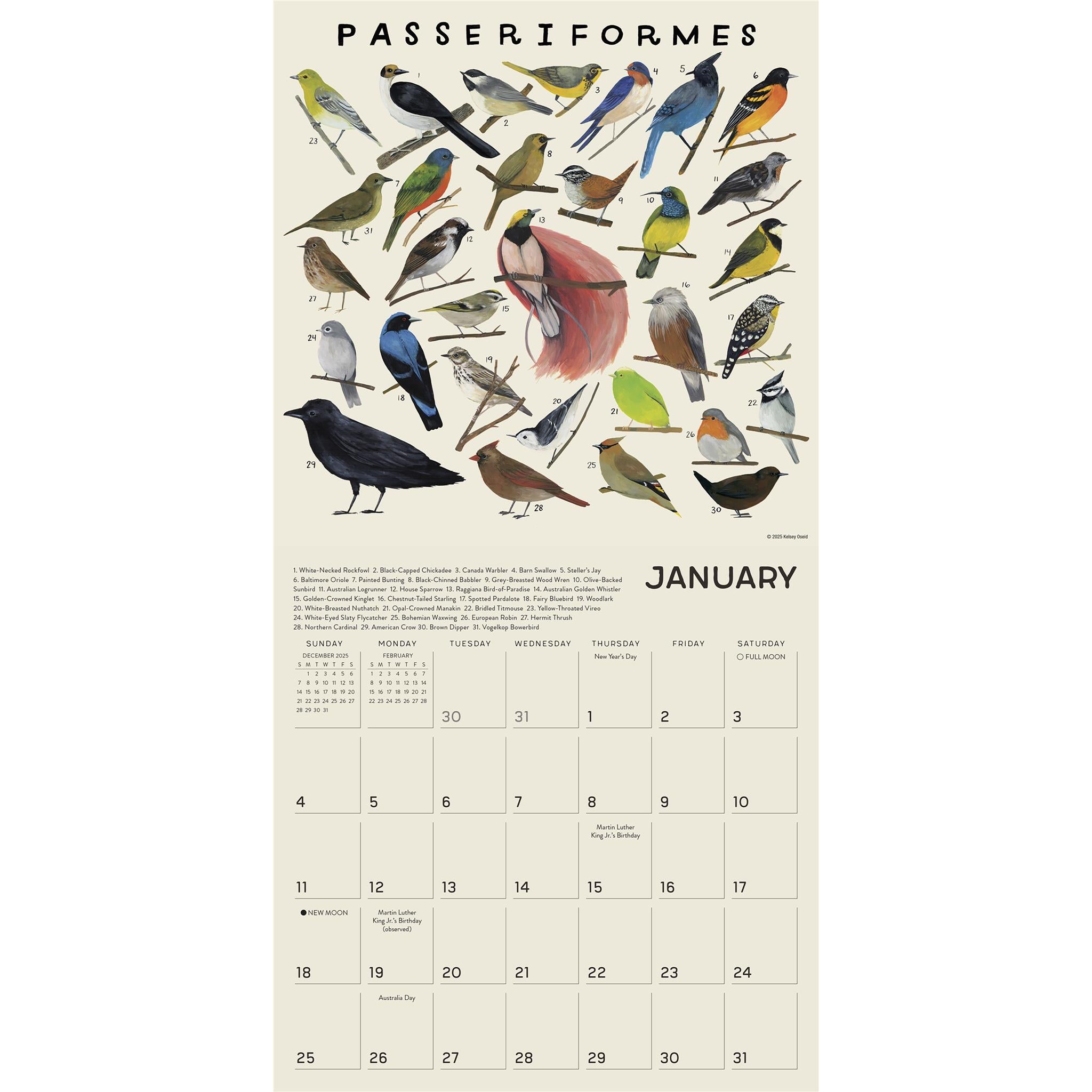 Illustrated Animal Kingdom 2026 Wall Calendar - Online Only