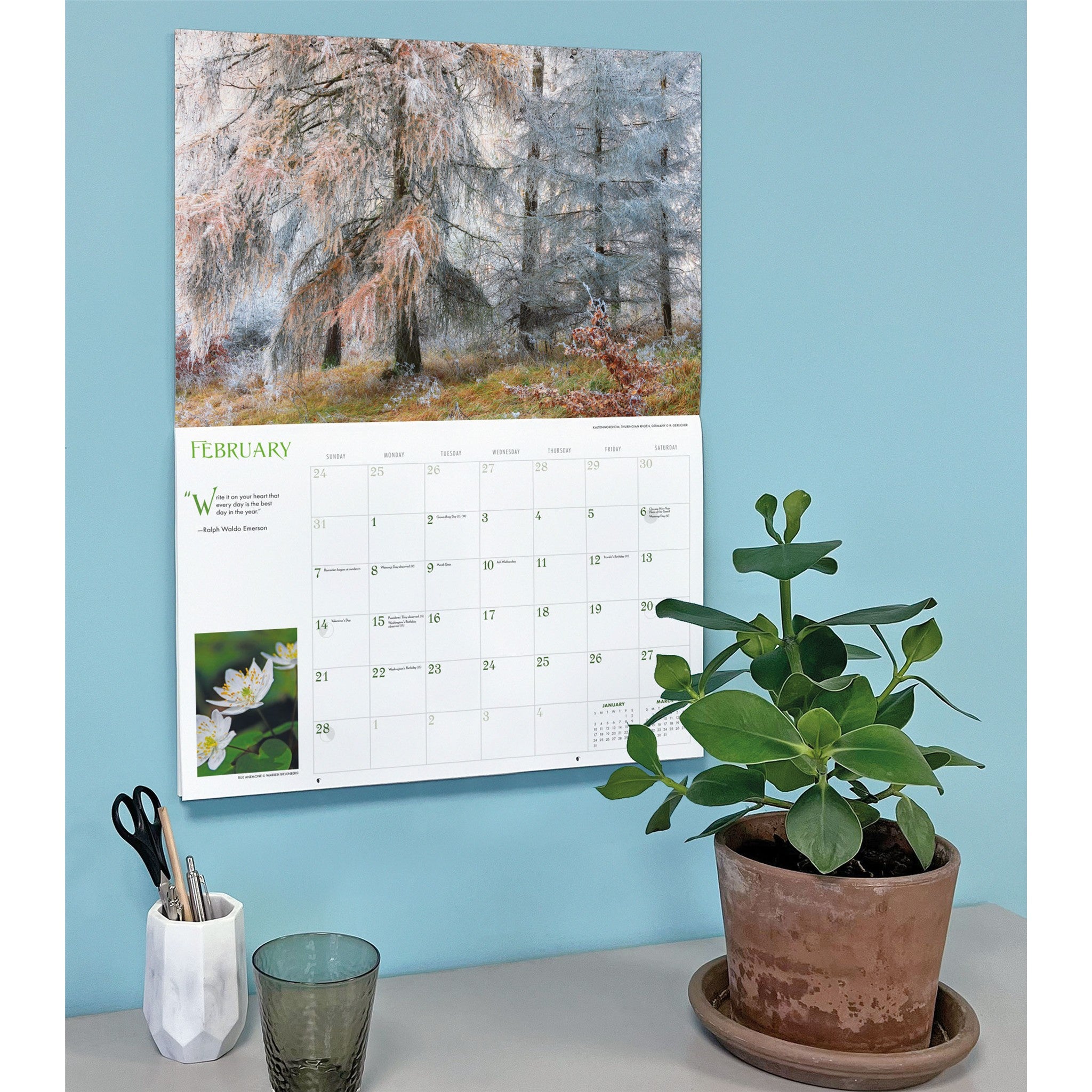 Calendrier mural Into the Woods 2027