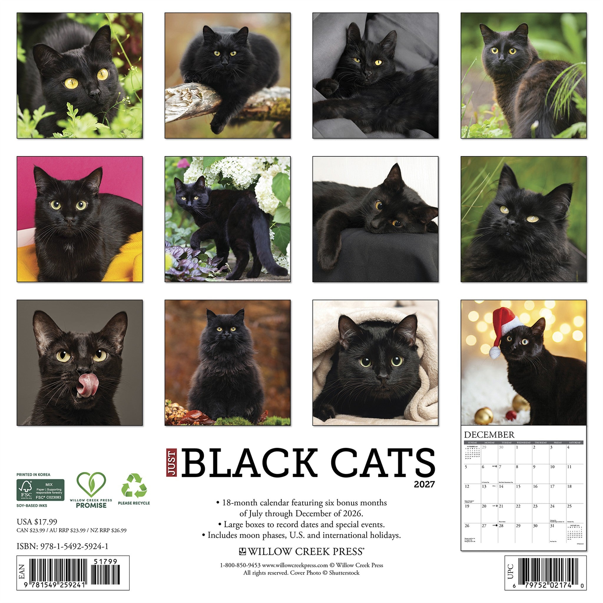 Black Cats 2027 Wall Calendar