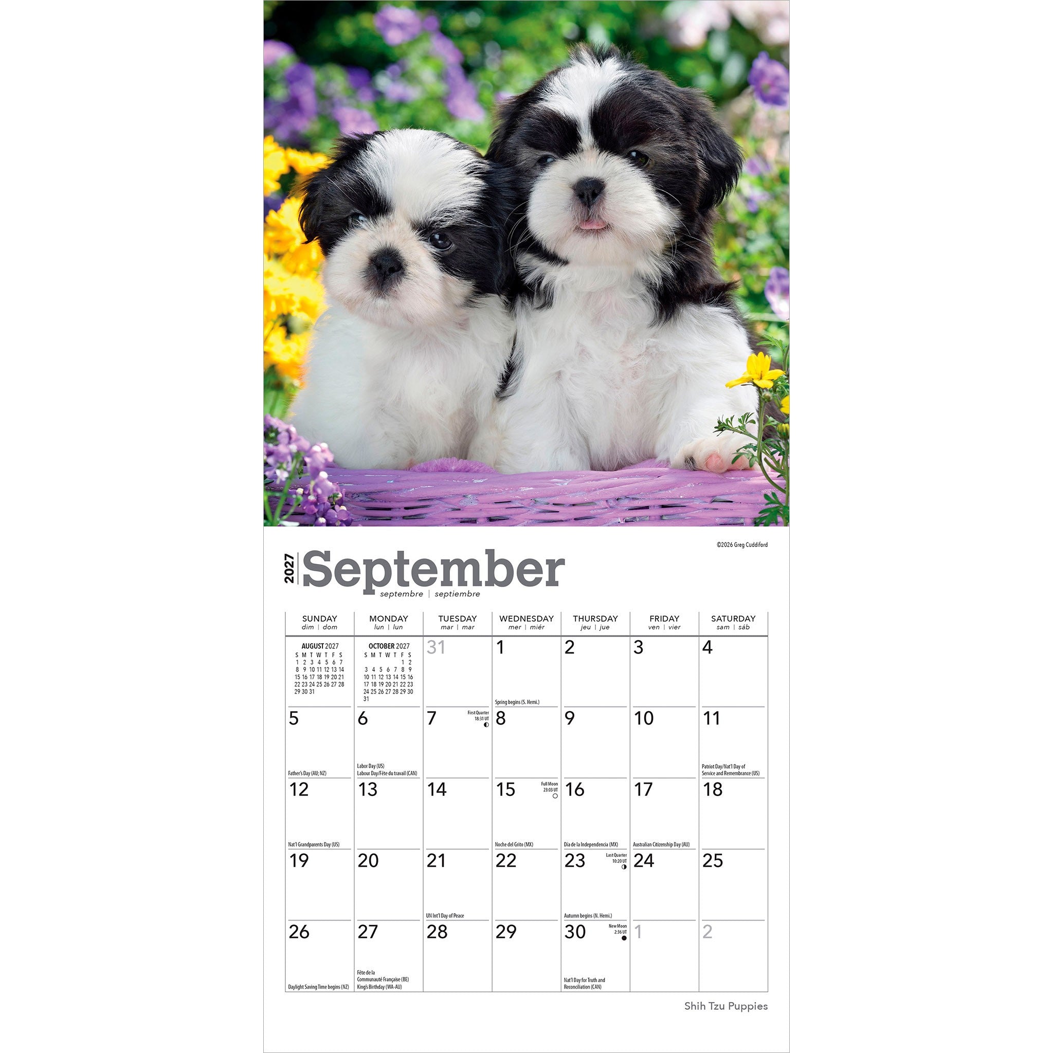 Shih Tzu Puppies 2027 Mini Calendar