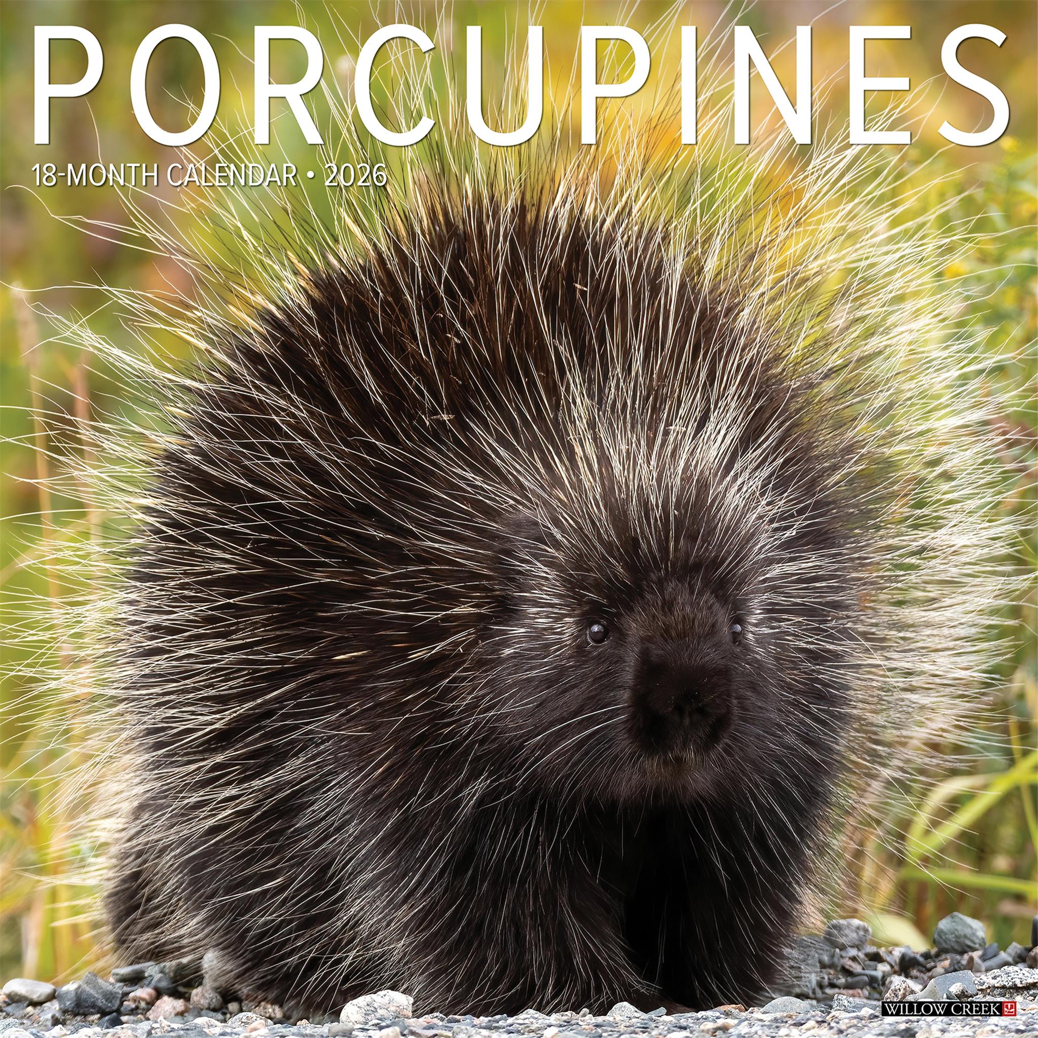 Calendrier mural Porcupines 2026 - Disponible uniquement en ligne