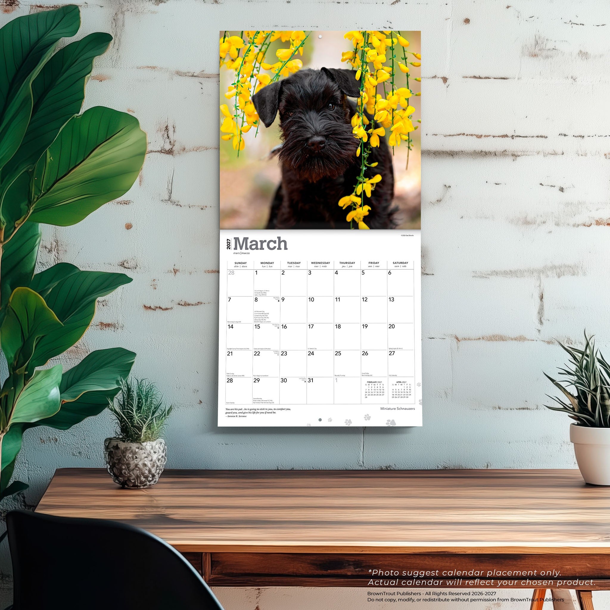 Miniature Schnauzers 2027 Wall Calendar
