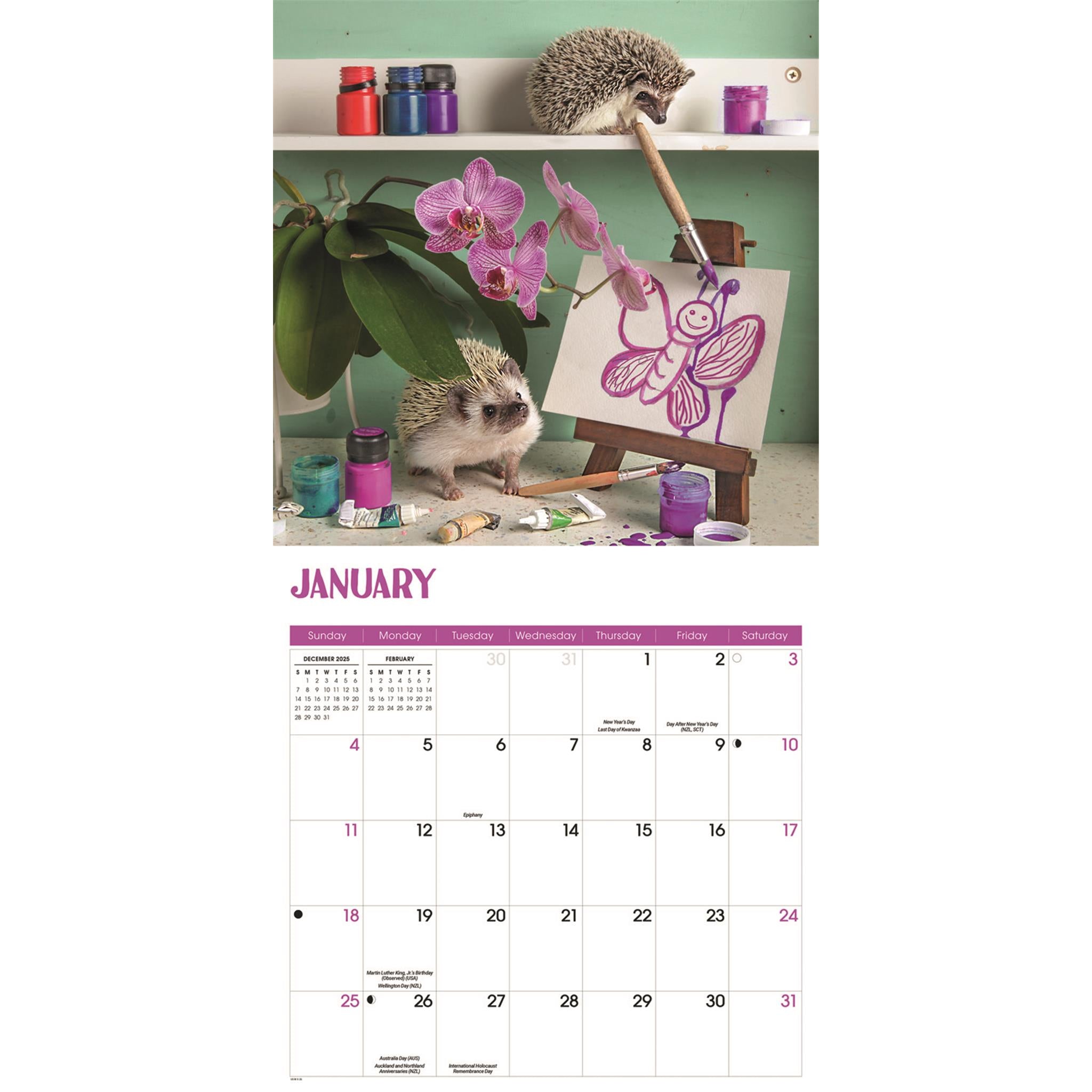 Calendrier mural Hérissons 2026