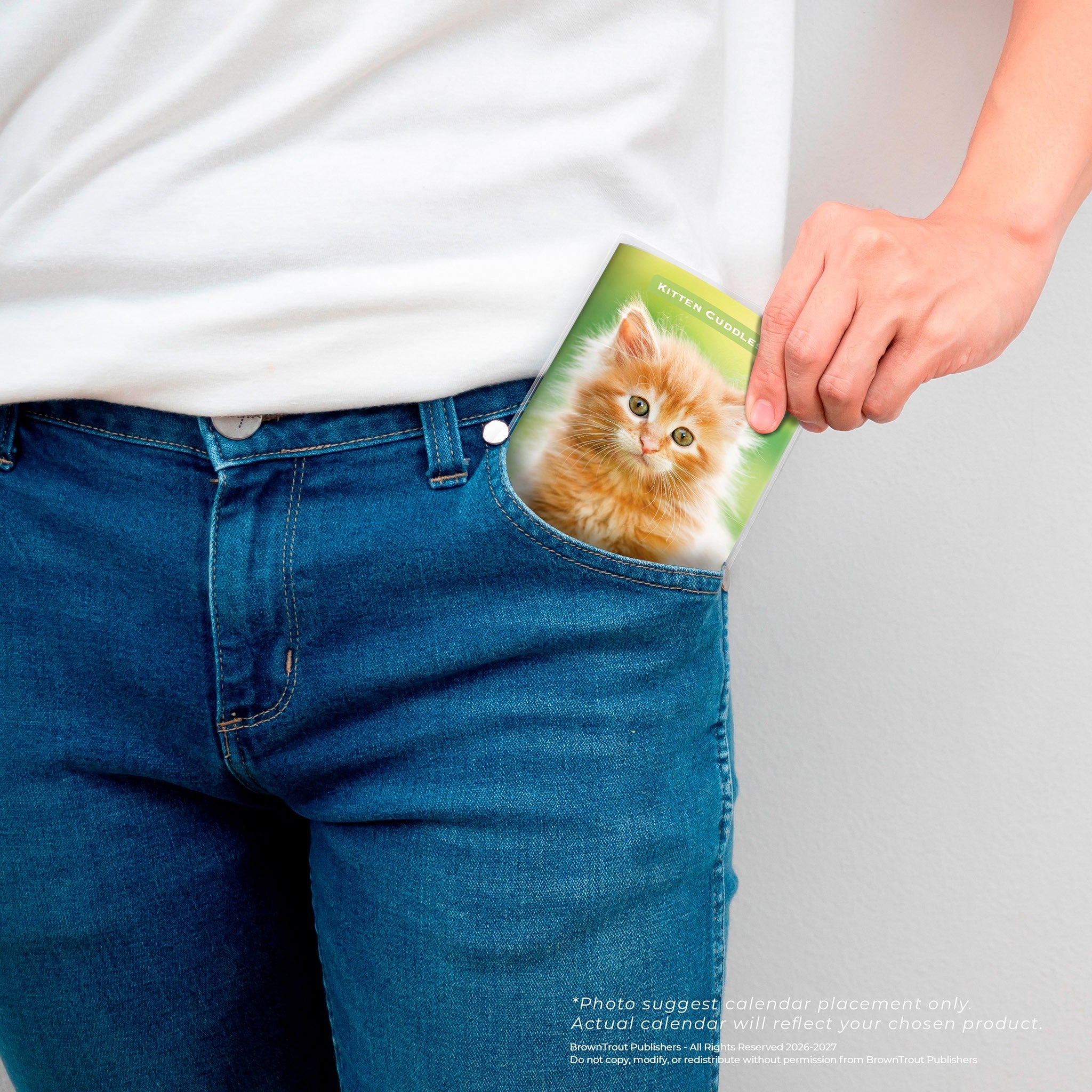 Kitten Cuddles 2027-2028 2-Year Pocket Planner