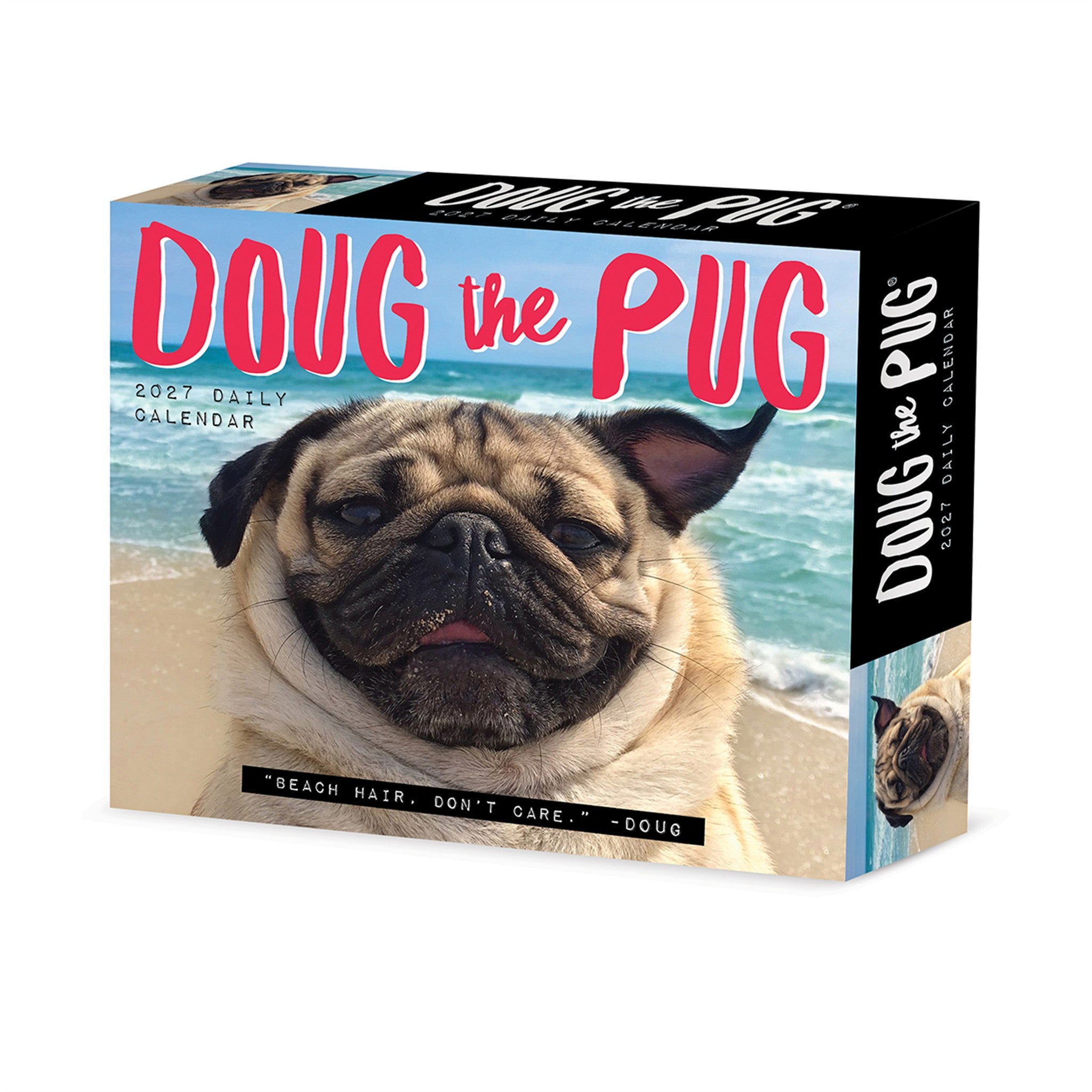 Doug the Pug 2027 Box Calendar