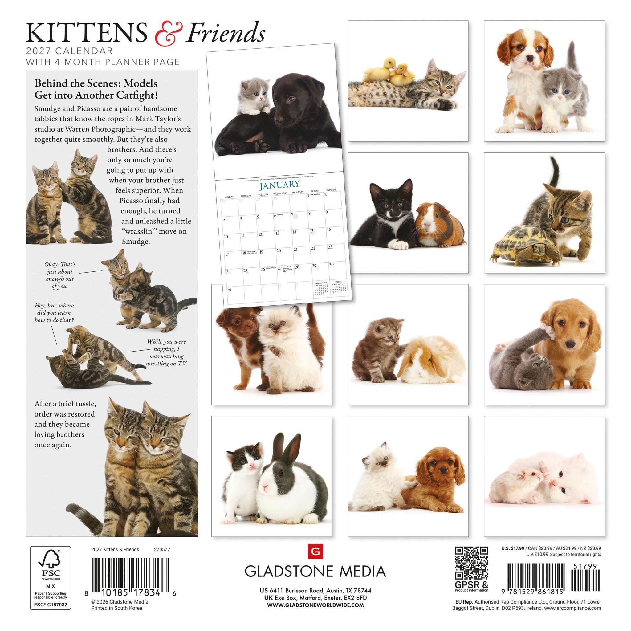 Calendrier mural Chatons et Amis 2027