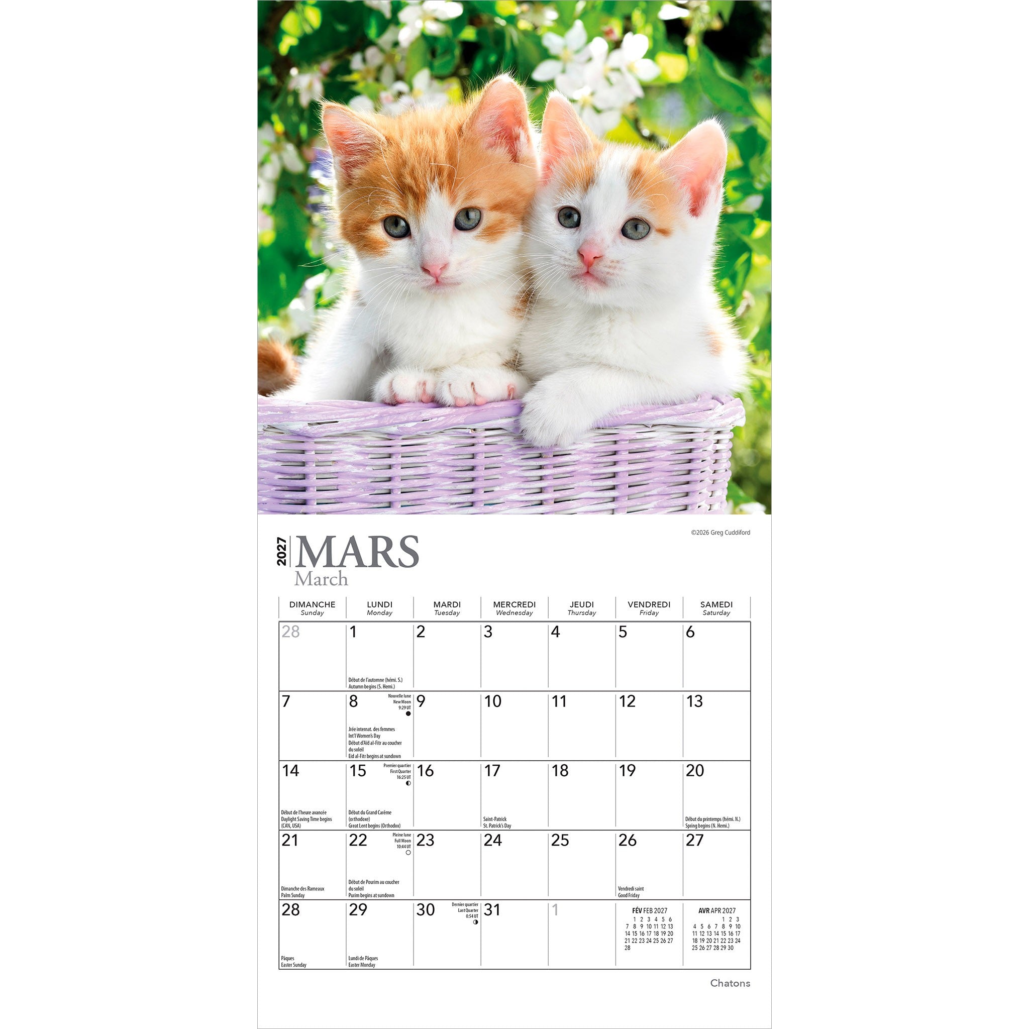 Chatons 2027 Mini Calendar (French)