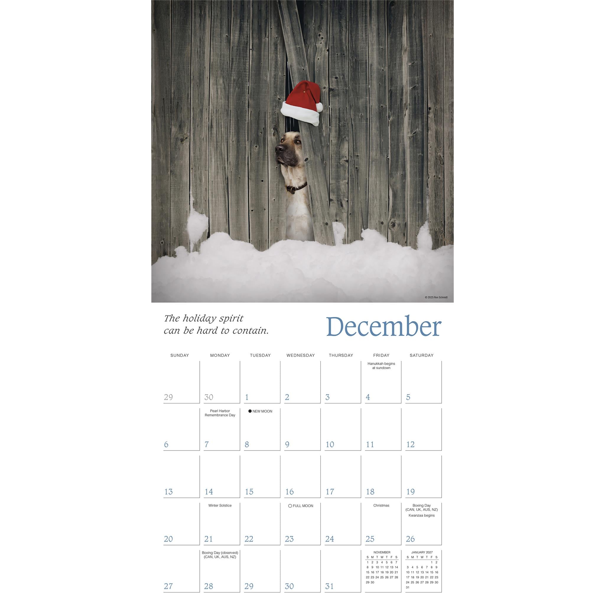 Calendrier mural Dogma 2026