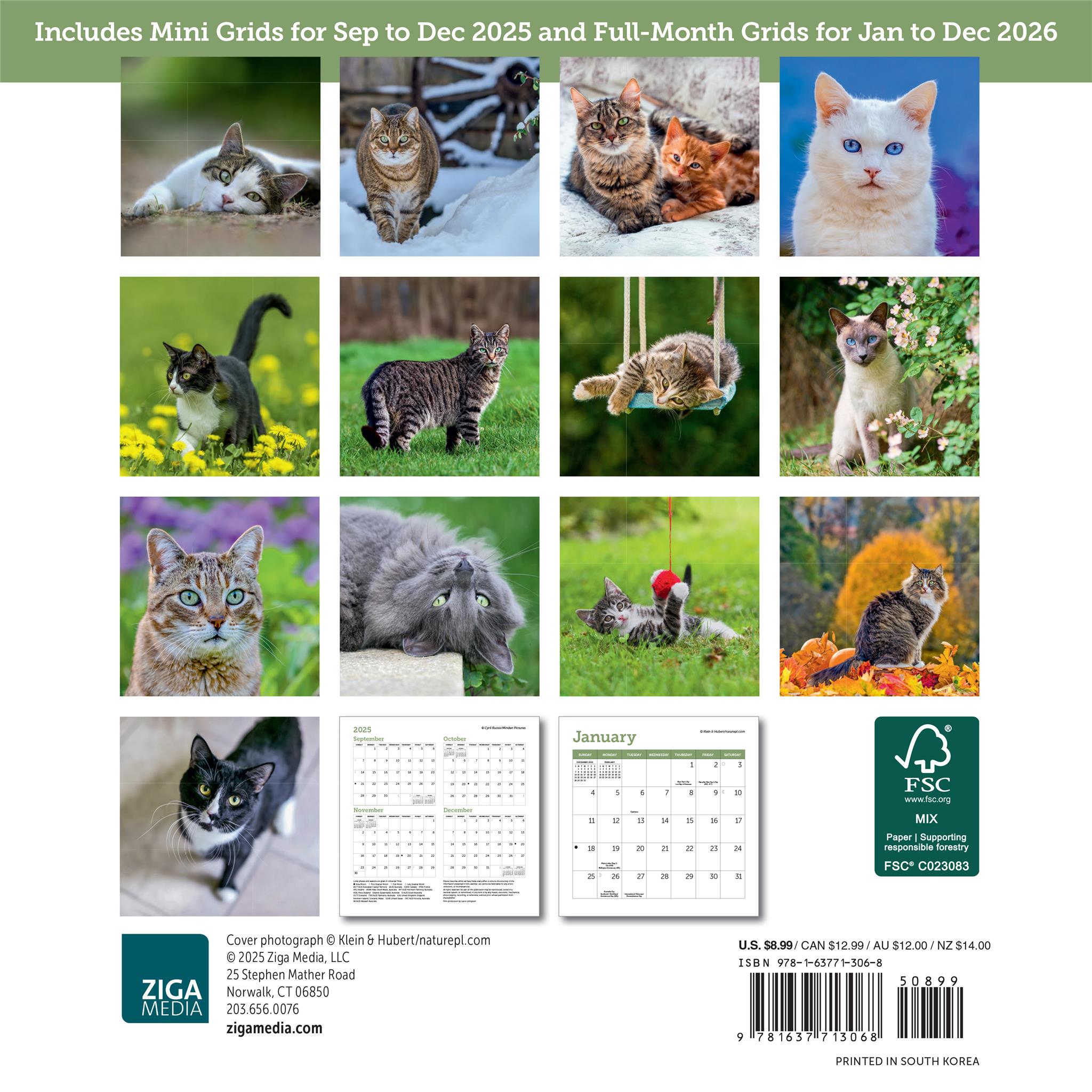 Mini calendrier Chats 2026