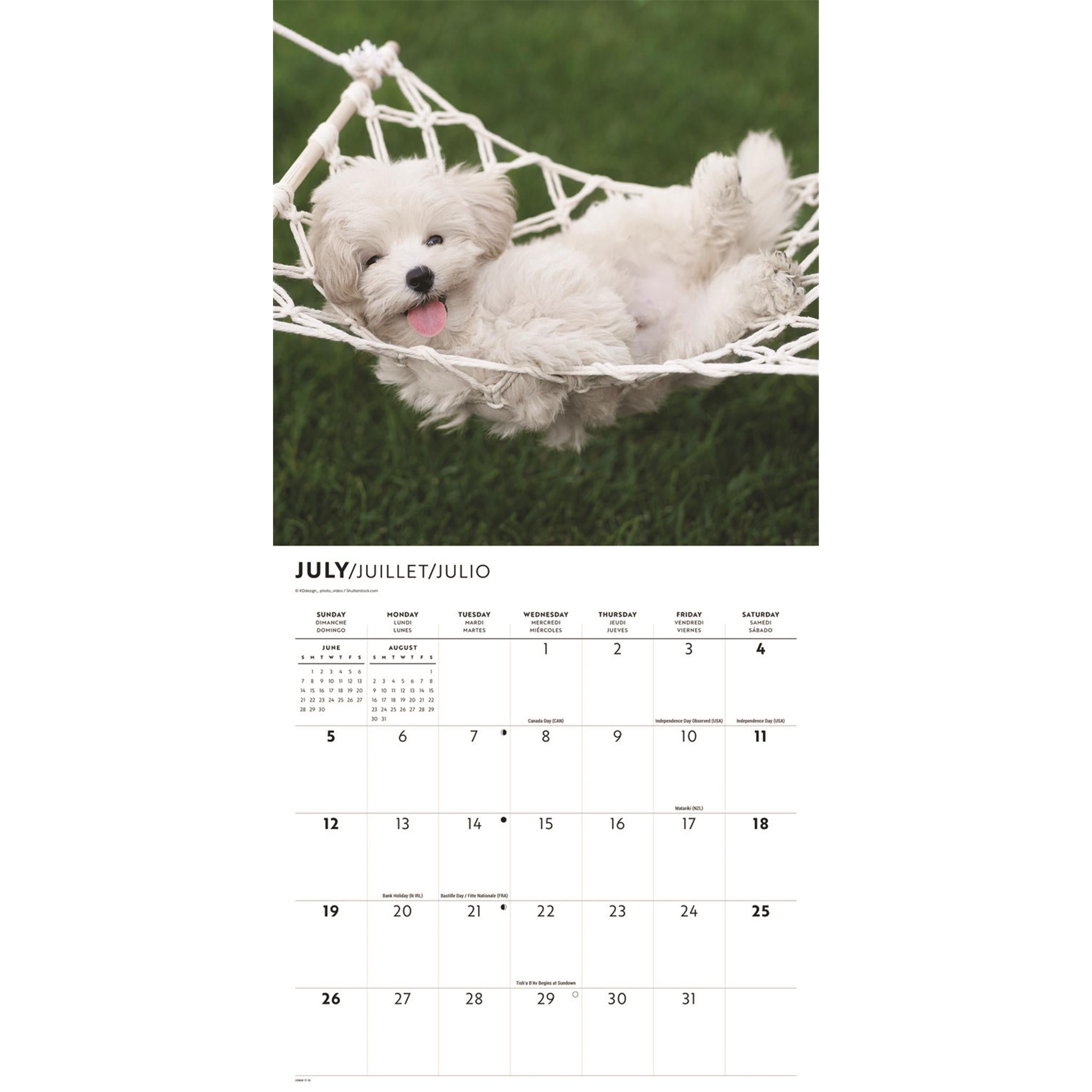 Puppy Love 2026 Wall Calendar
