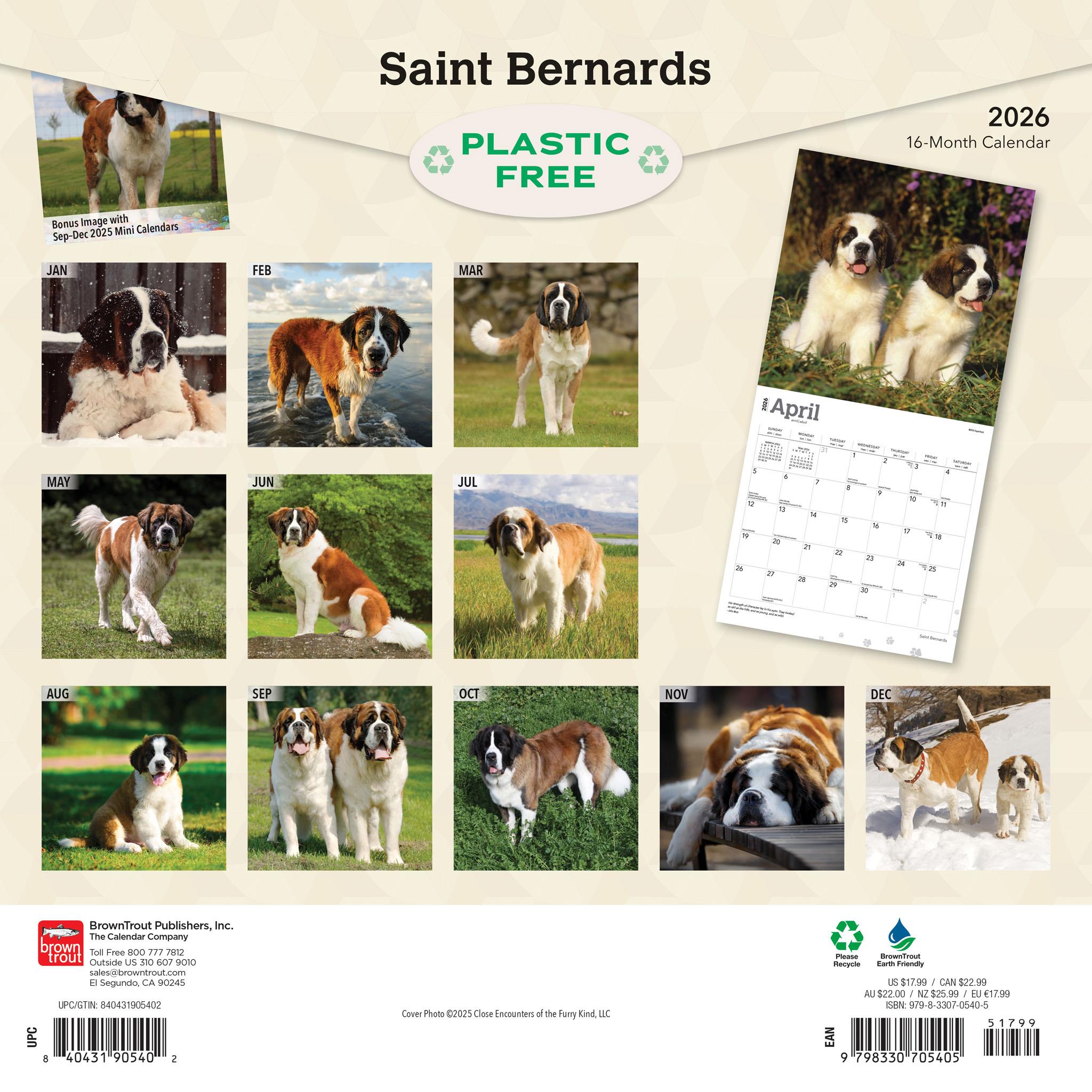 Calendrier mural Saint-Bernard 2026