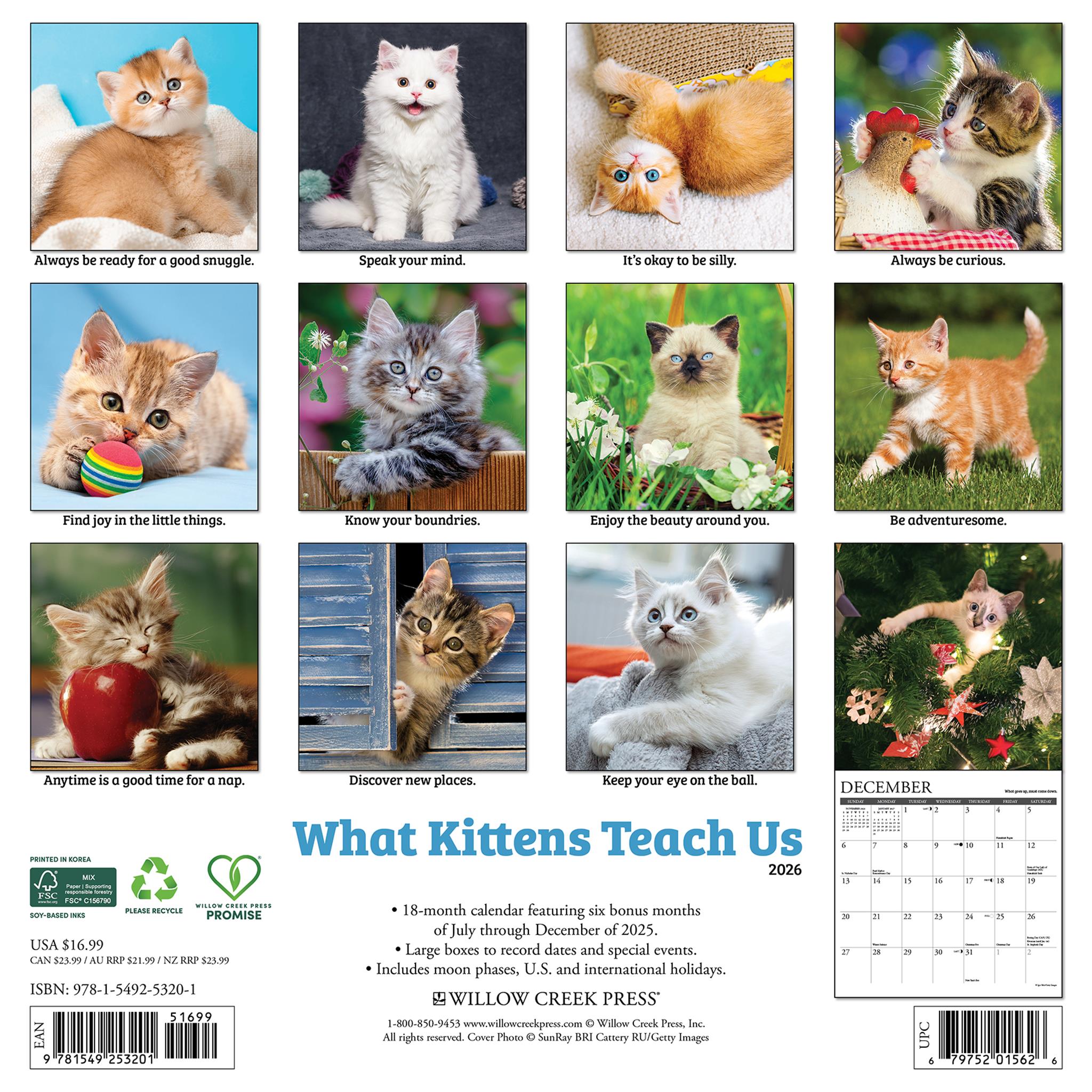 Calendrier mural 2026 « Ce que les chatons nous apprennent »