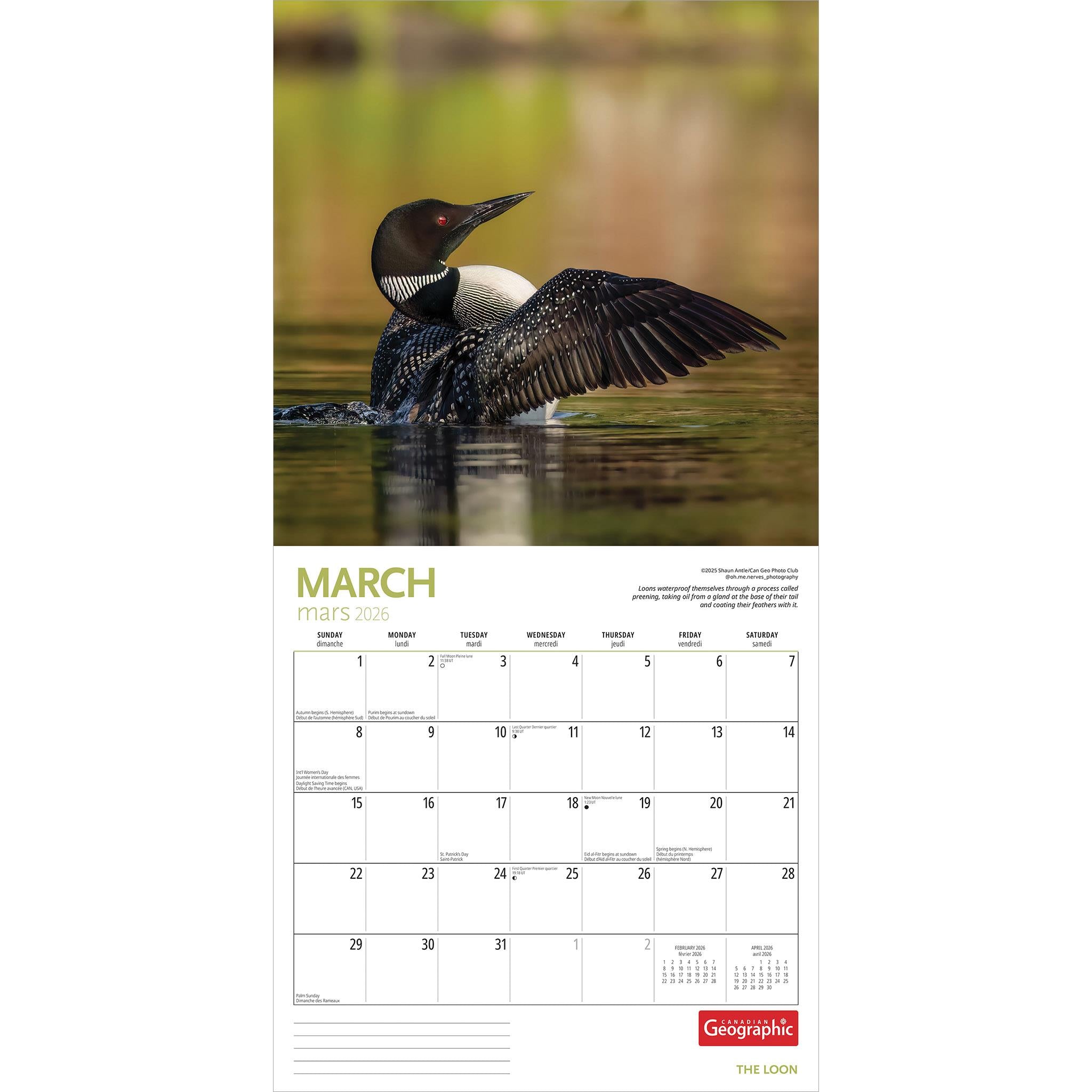 Calendrier mural Canadian Geographic Loon 2026 - Disponible uniquement en ligne
