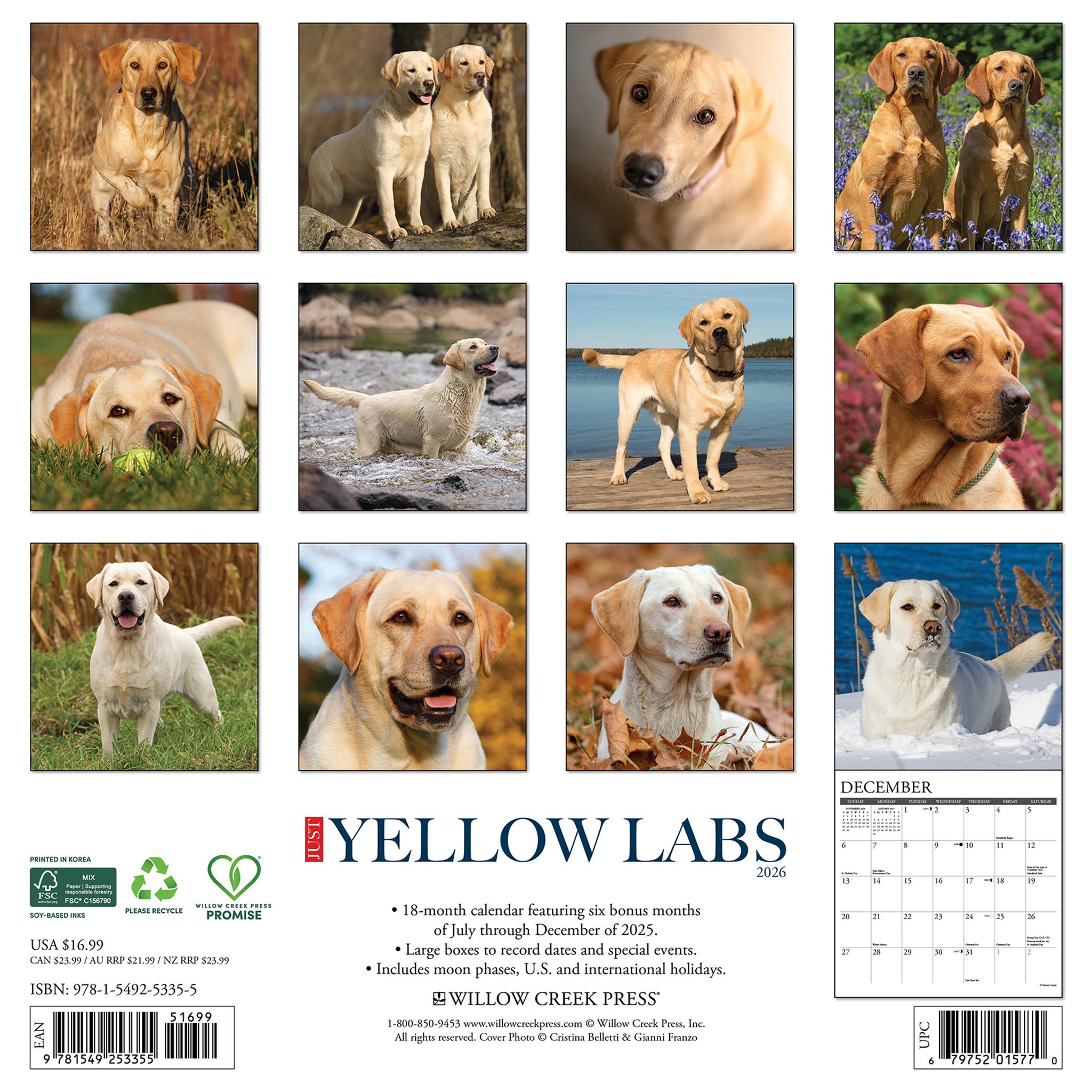 Calendrier mural Just Yellow Labs 2026