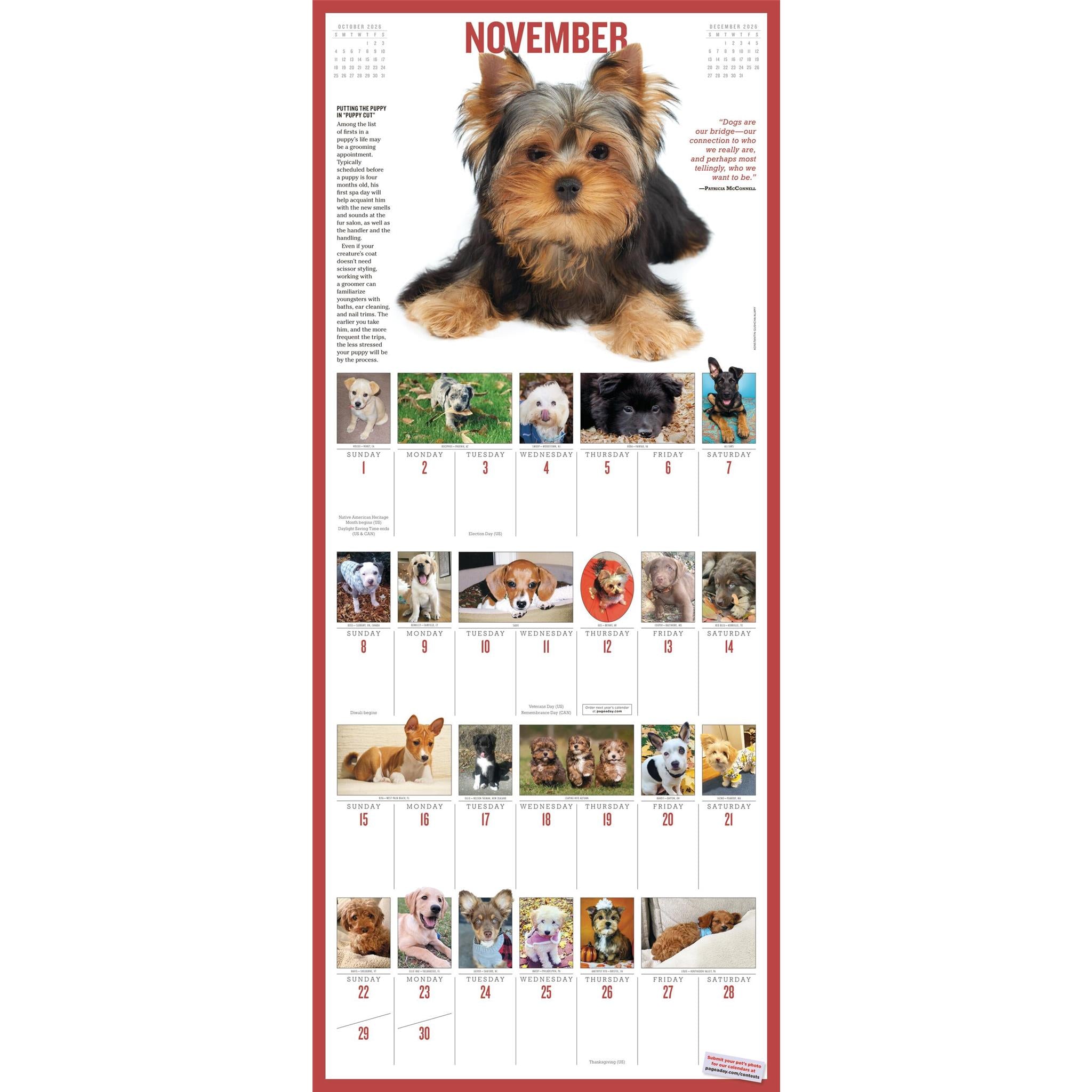 Puppies 365 2026 Wall Calendar